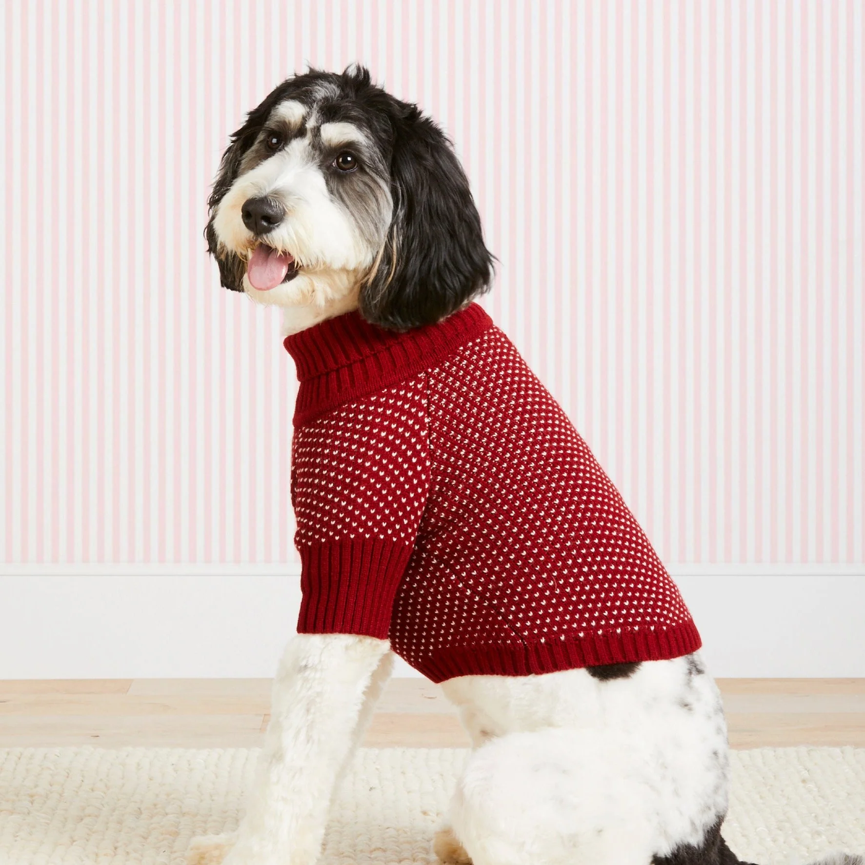 Heart Stitch Dog Sweater