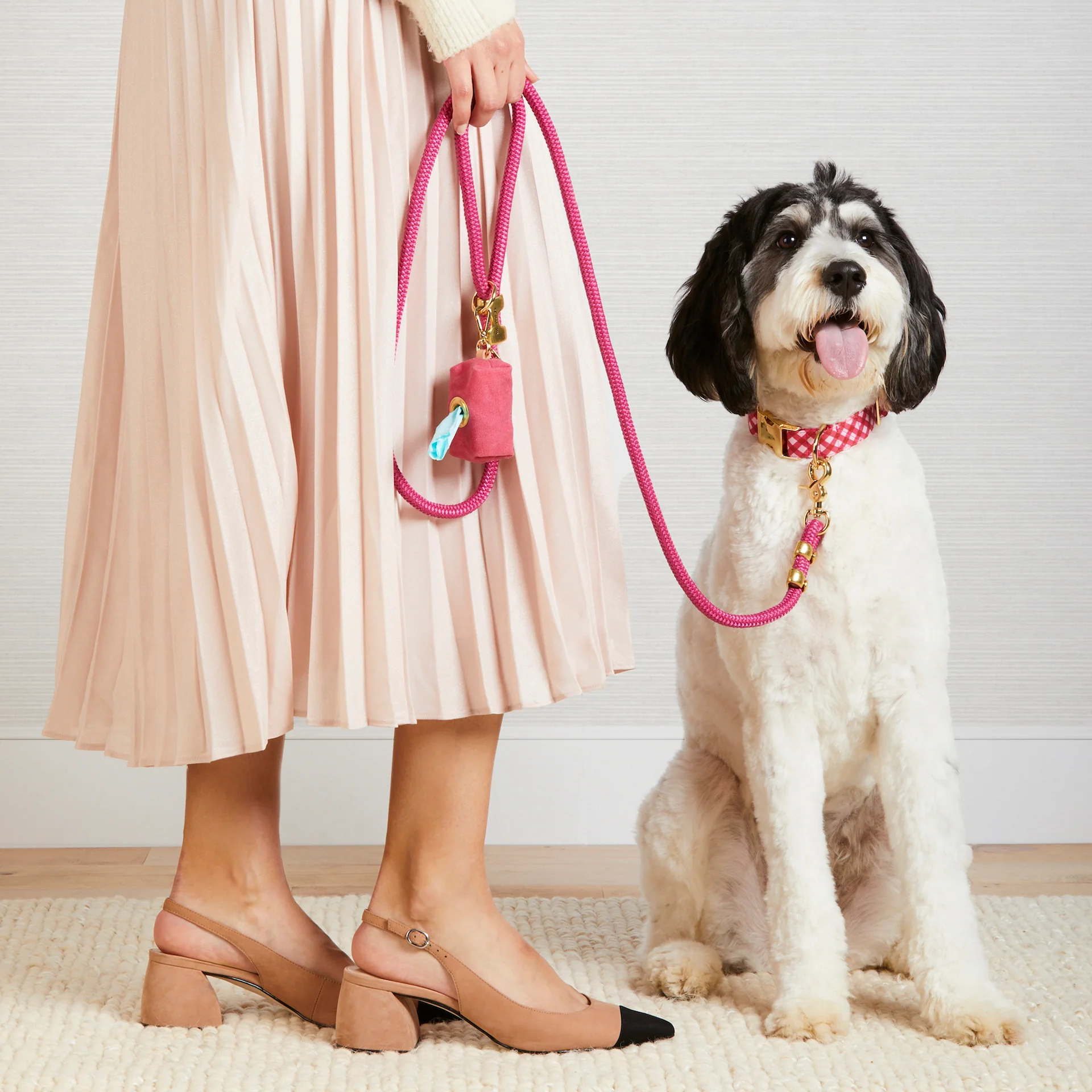 Raspberry Gingham Collar Walk Set