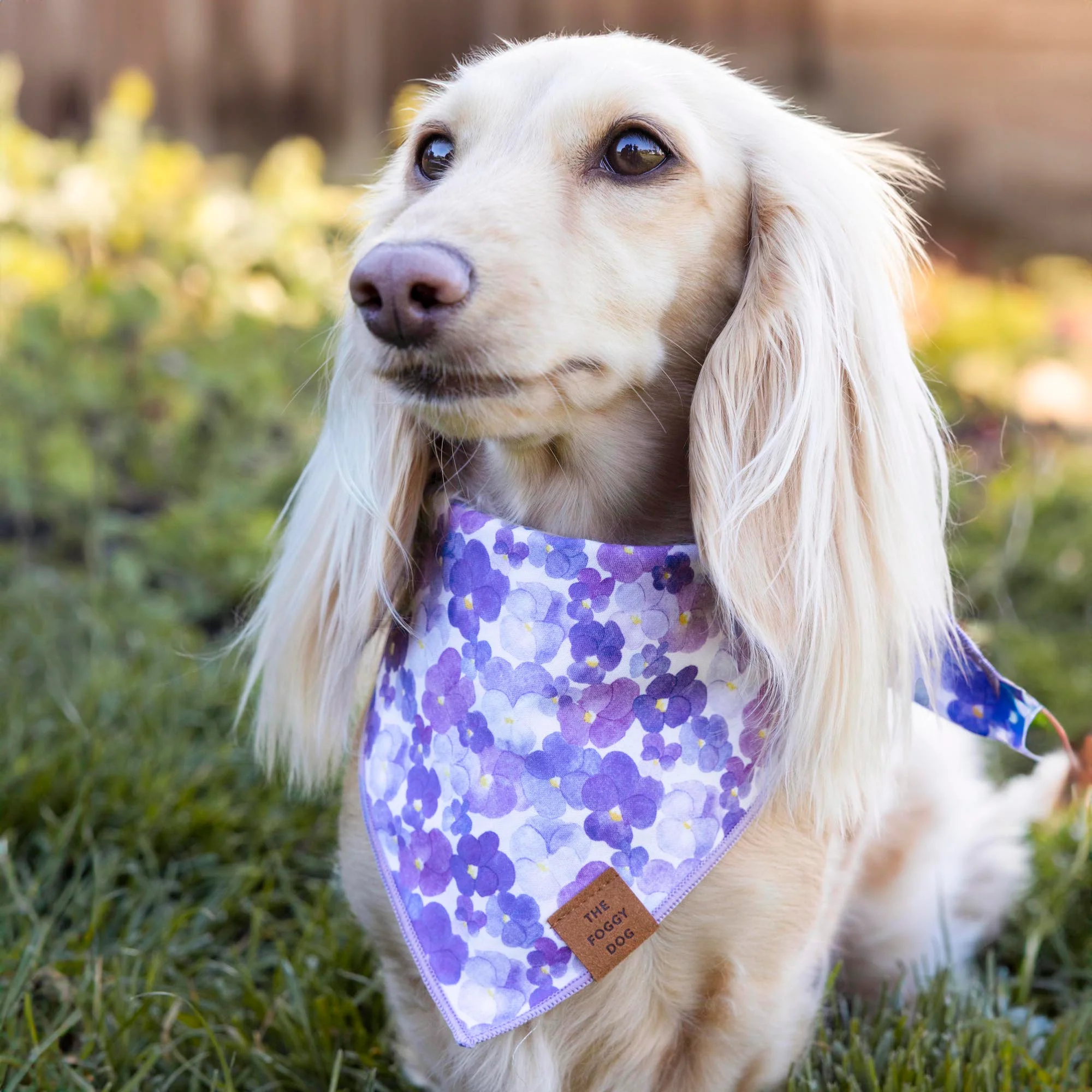 Pressed Pansies Dog Bandana