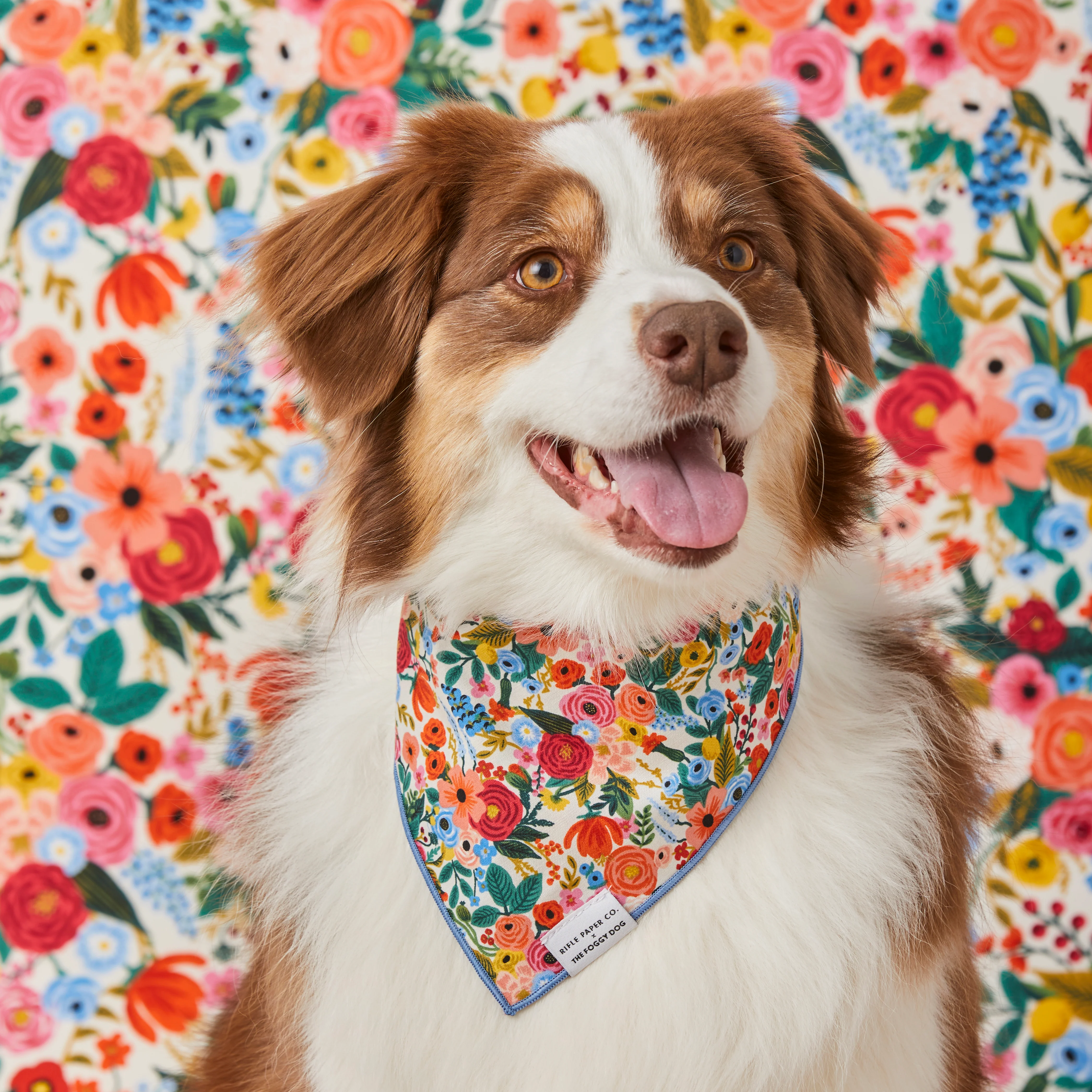 Rifle Paper Co. x TFD Garden Party Dog Bandana