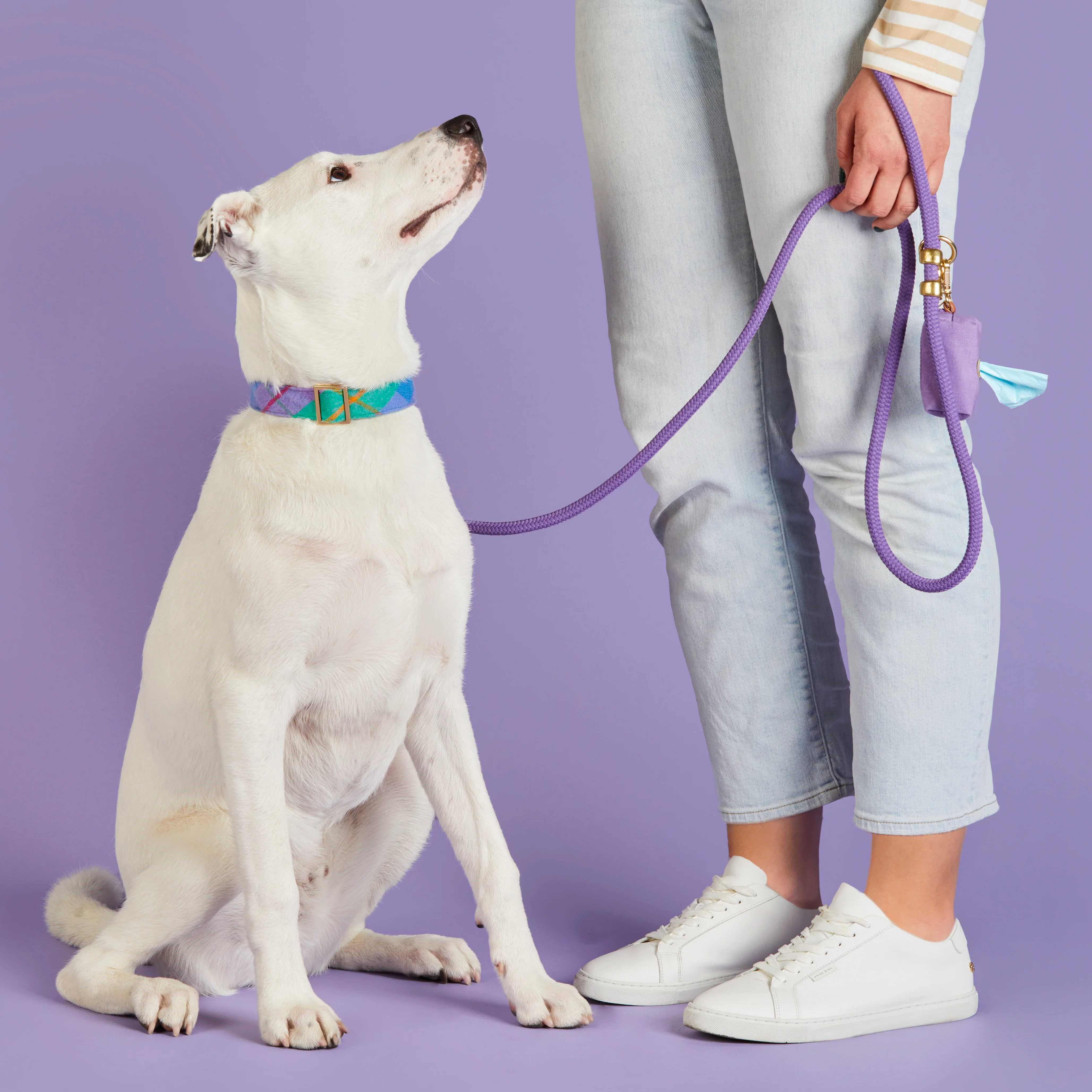 Violet Marine Rope Dog Leash