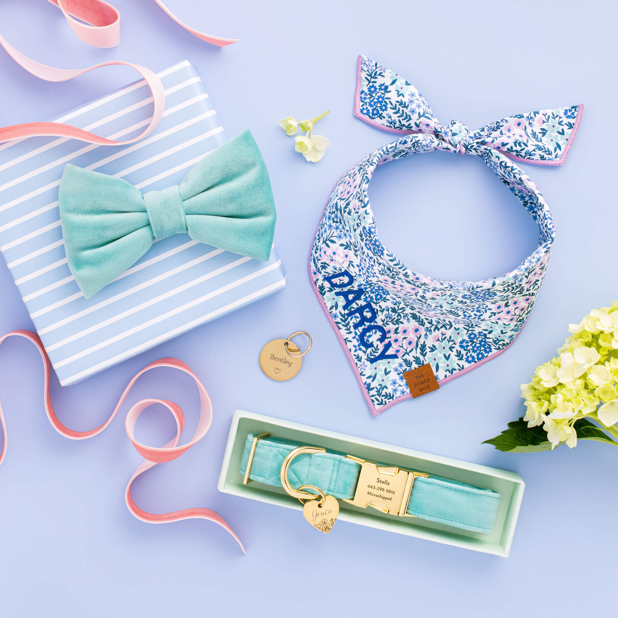 Robin’s Egg Velvet Bow Tie Collar