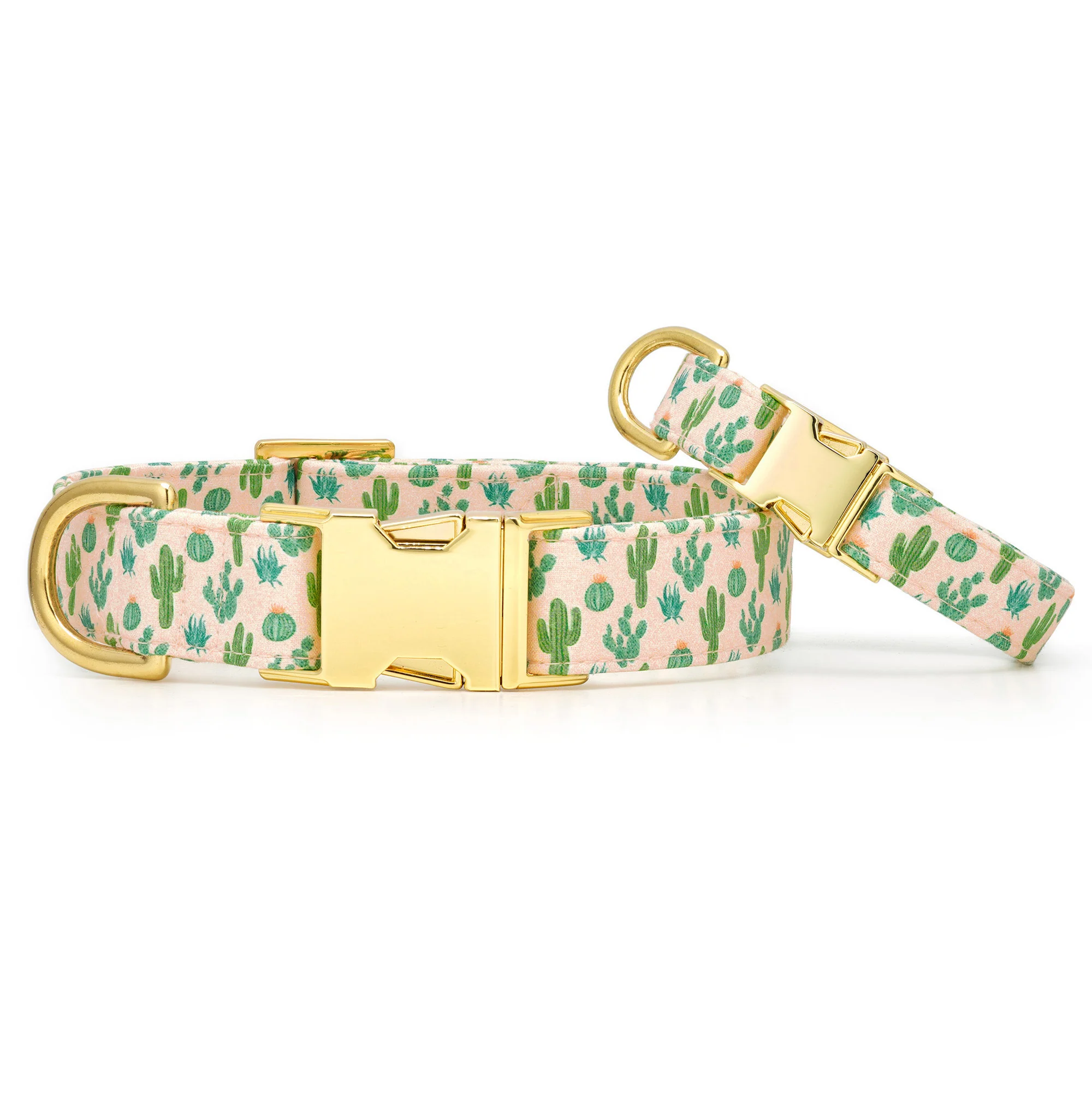 Desert Cactus Dog Collar