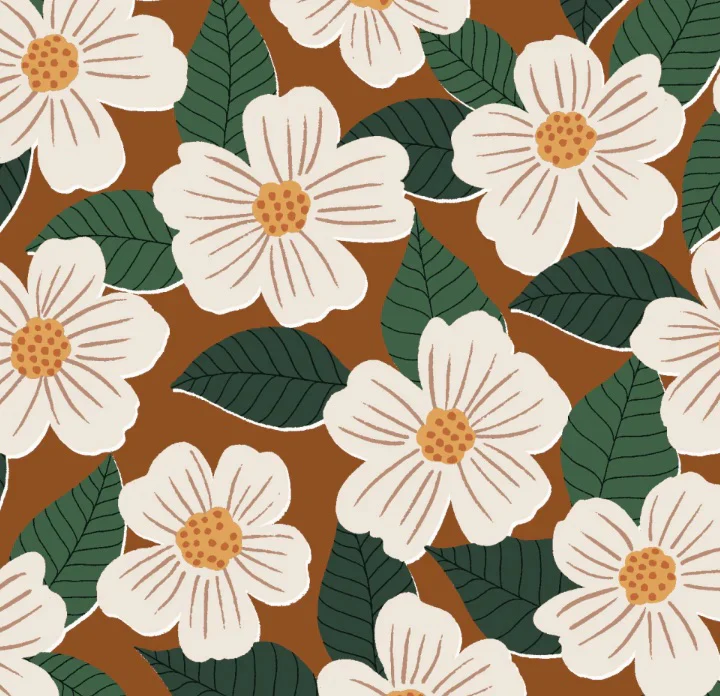 Chestnut Rose Collar Walk Set