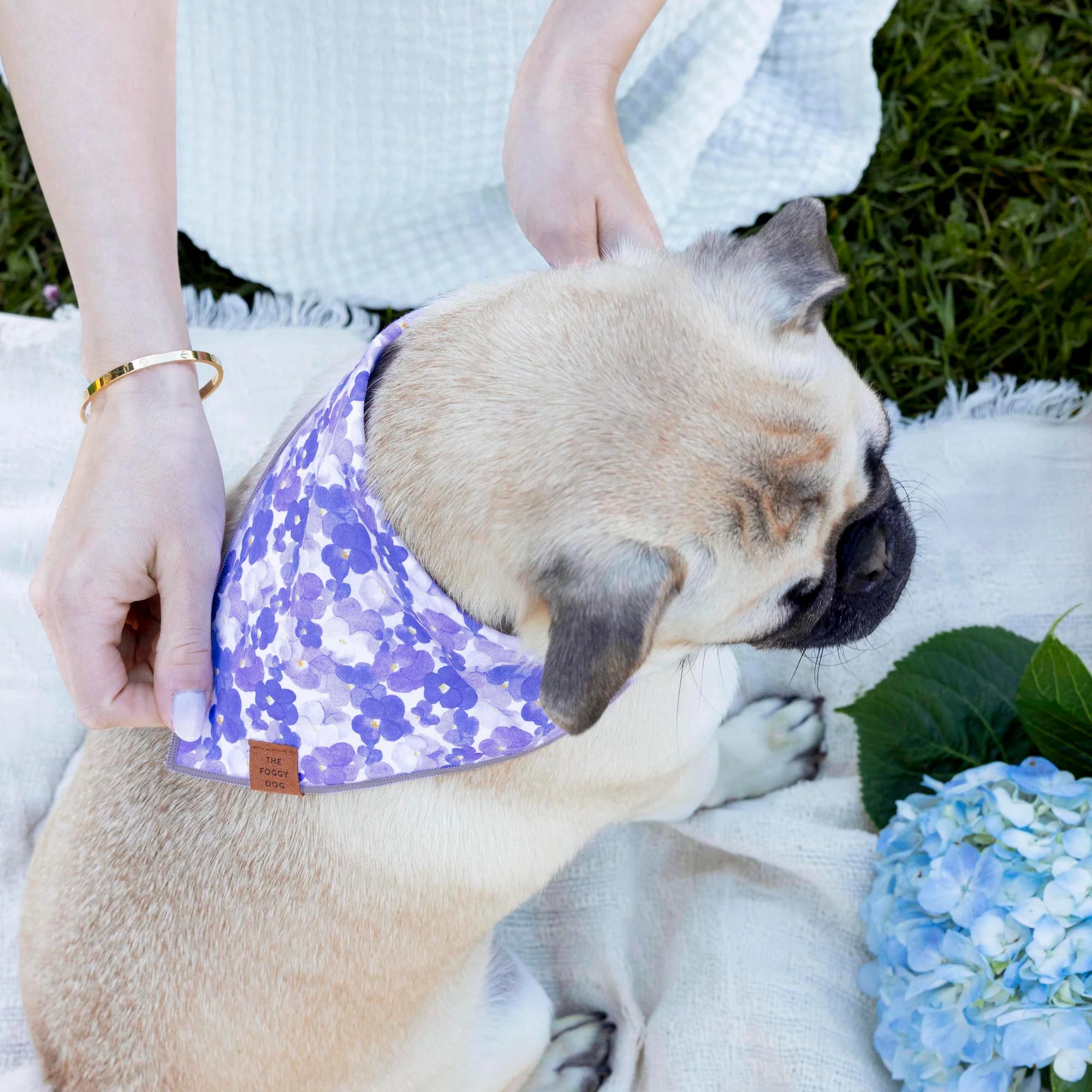 Pressed Pansies Dog Bandana