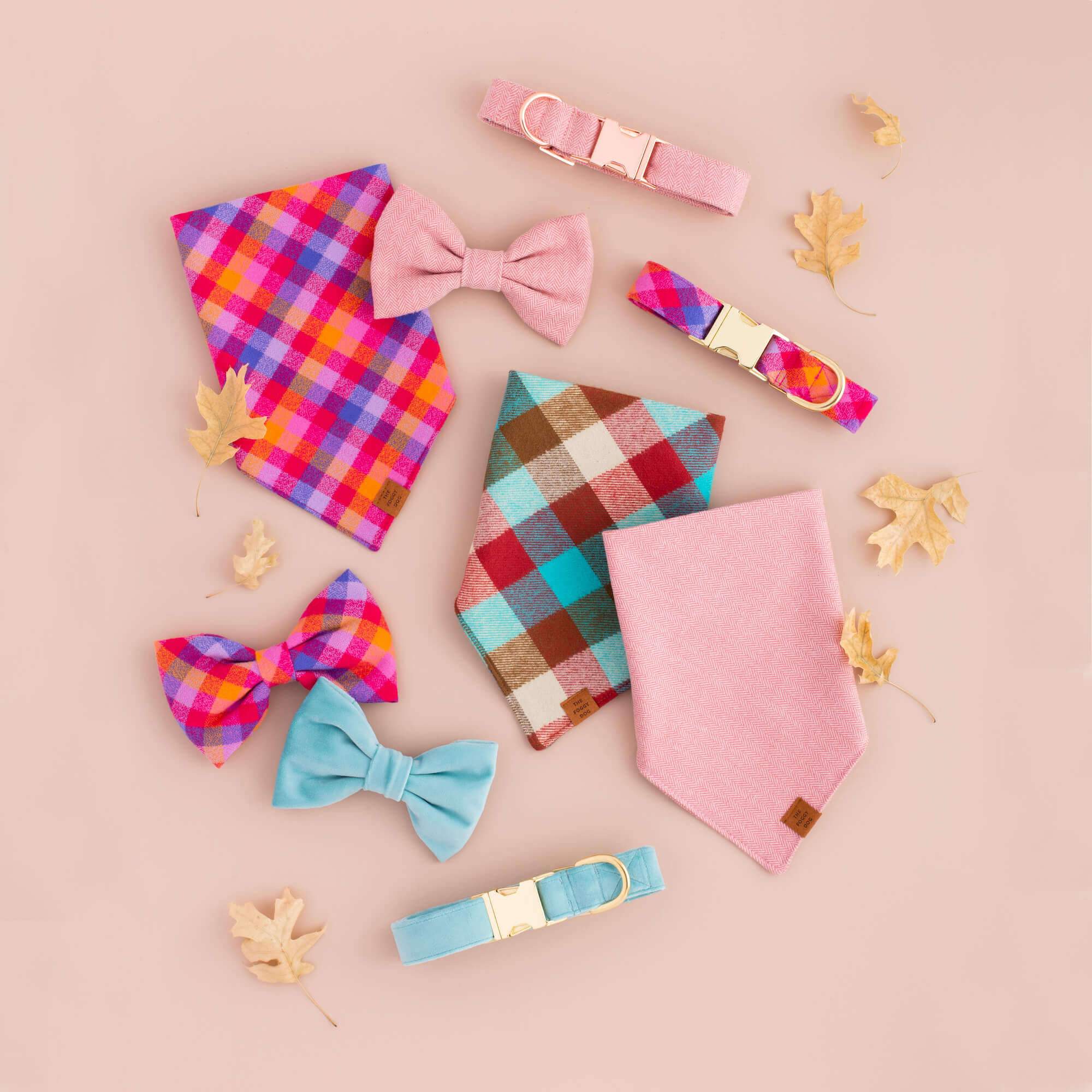 Robin’s Egg Velvet Dog Collar