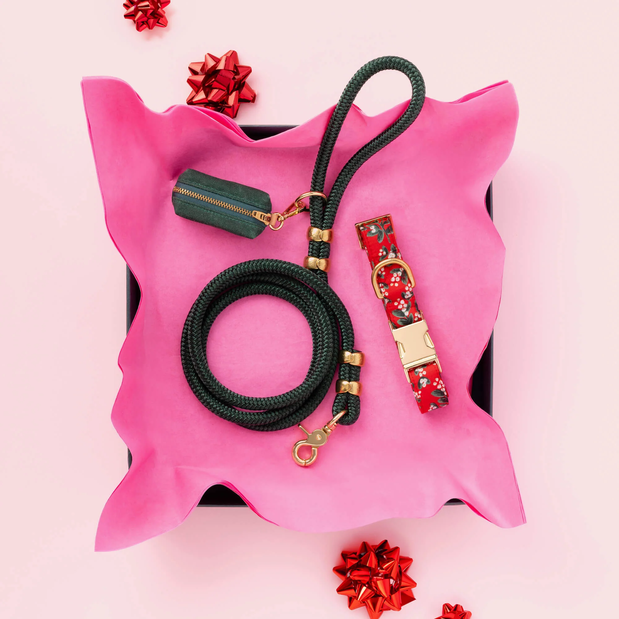 Rifle Paper Co. x TFD Mistletoe Dog Collar