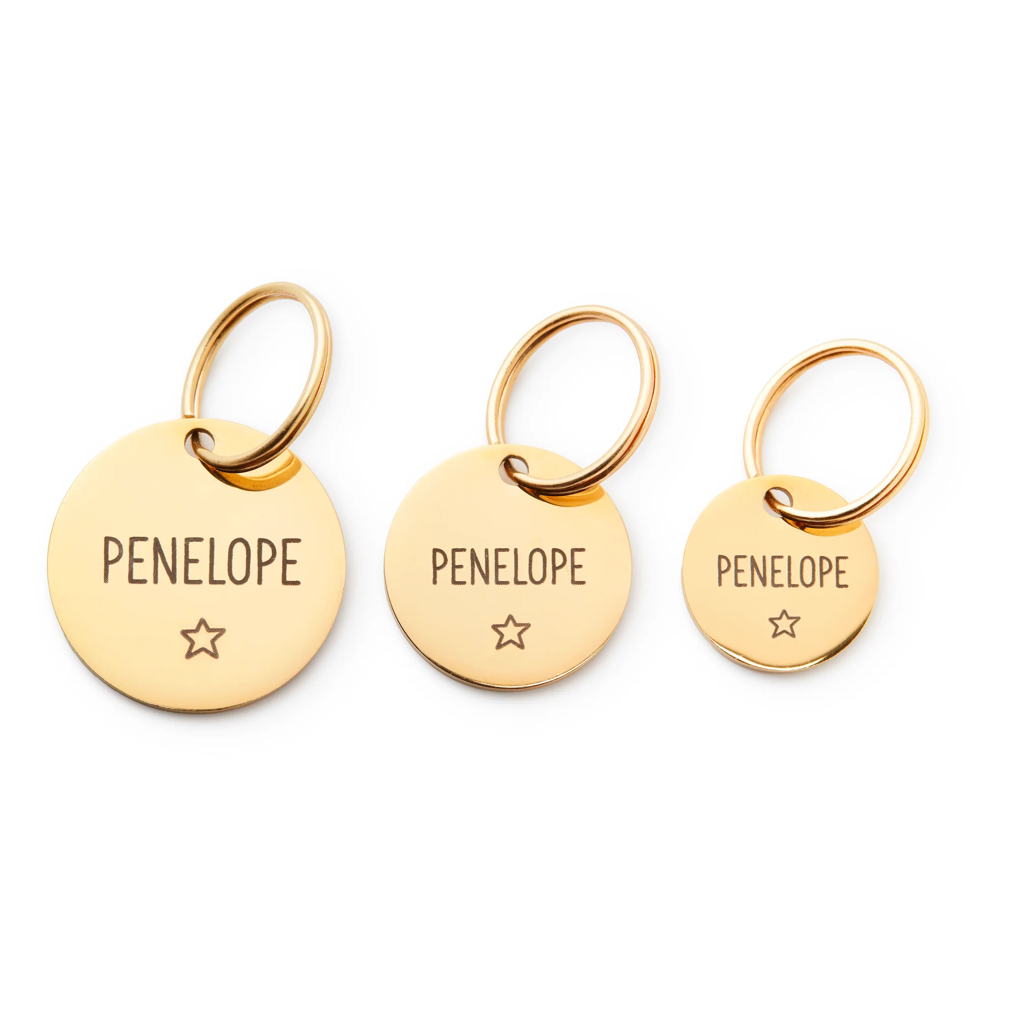 Circle Pet ID Tag: Star Icon