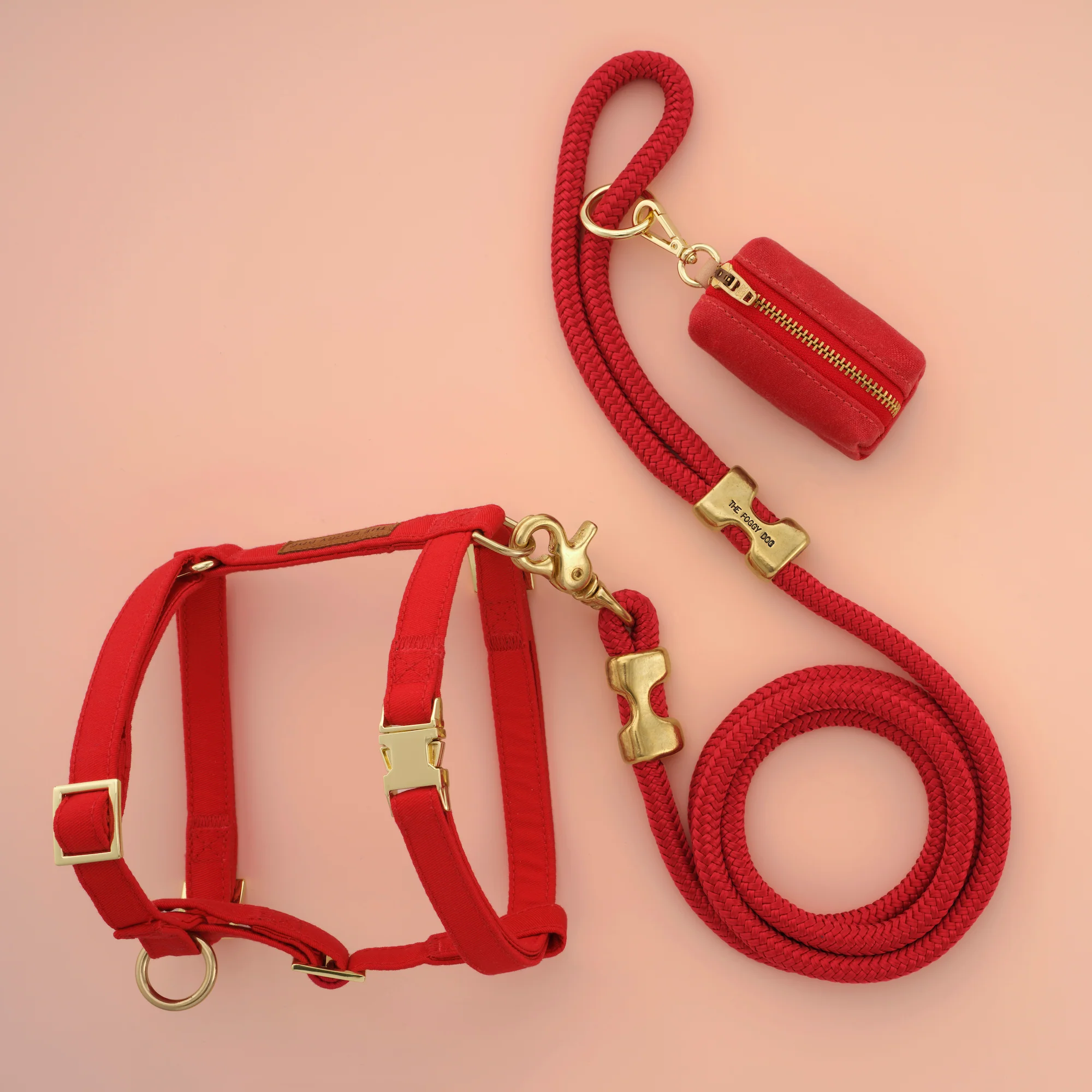 Ruby Harness Walk Set