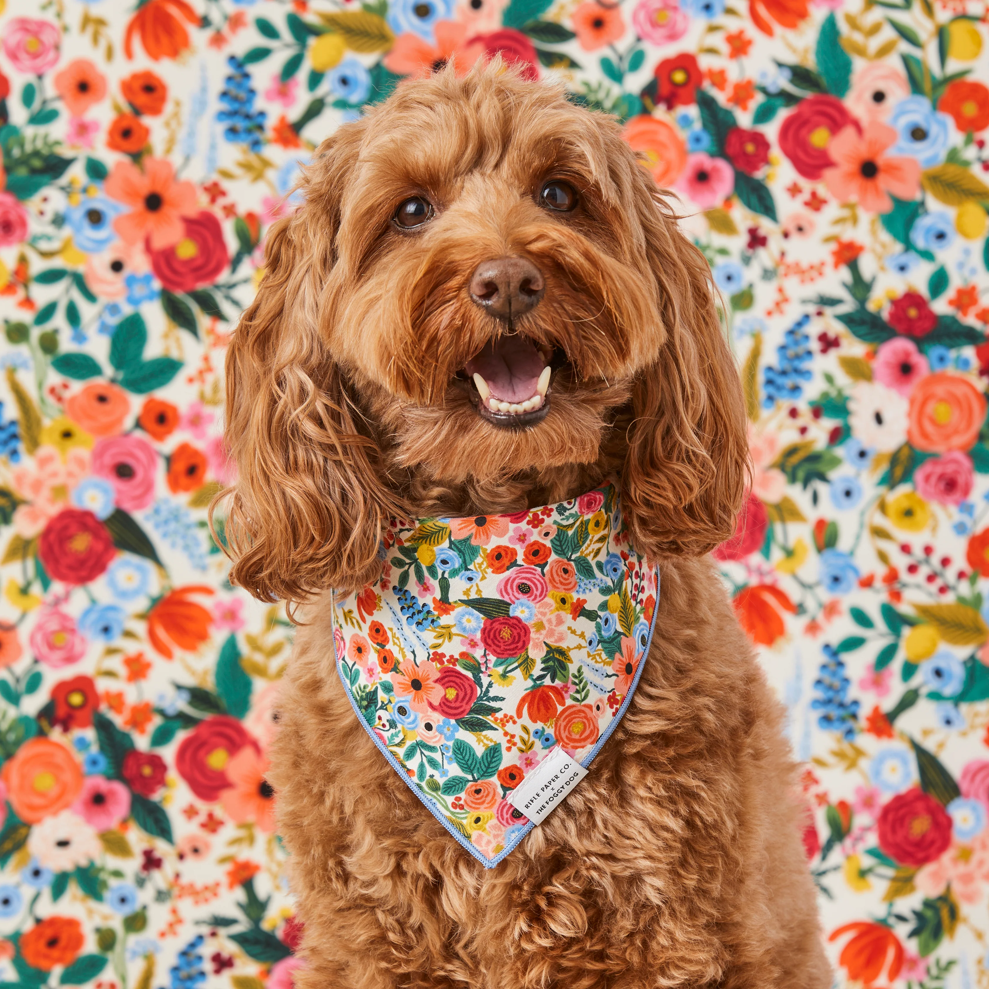 Rifle Paper Co. x TFD Garden Party Dog Bandana