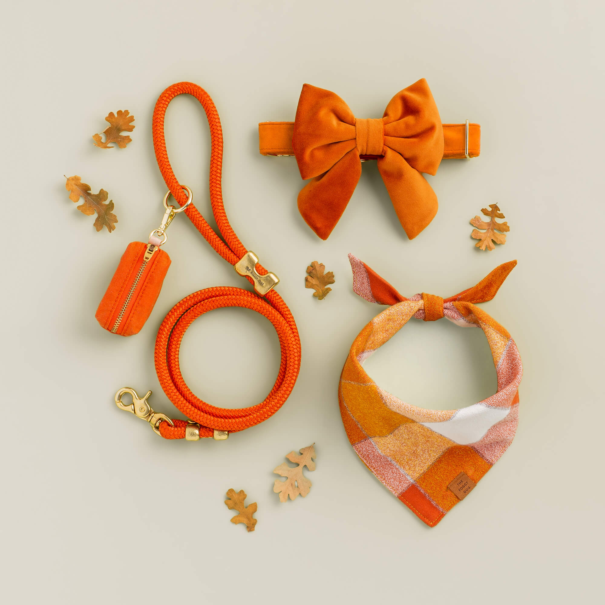Pumpkin Velvet Dog Collar