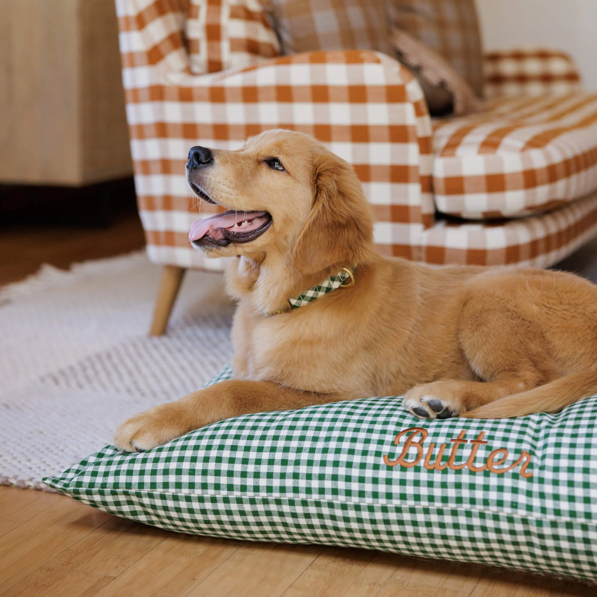 Heather Taylor Home x TFD Mini Gingham Hunter Green Dog Bed