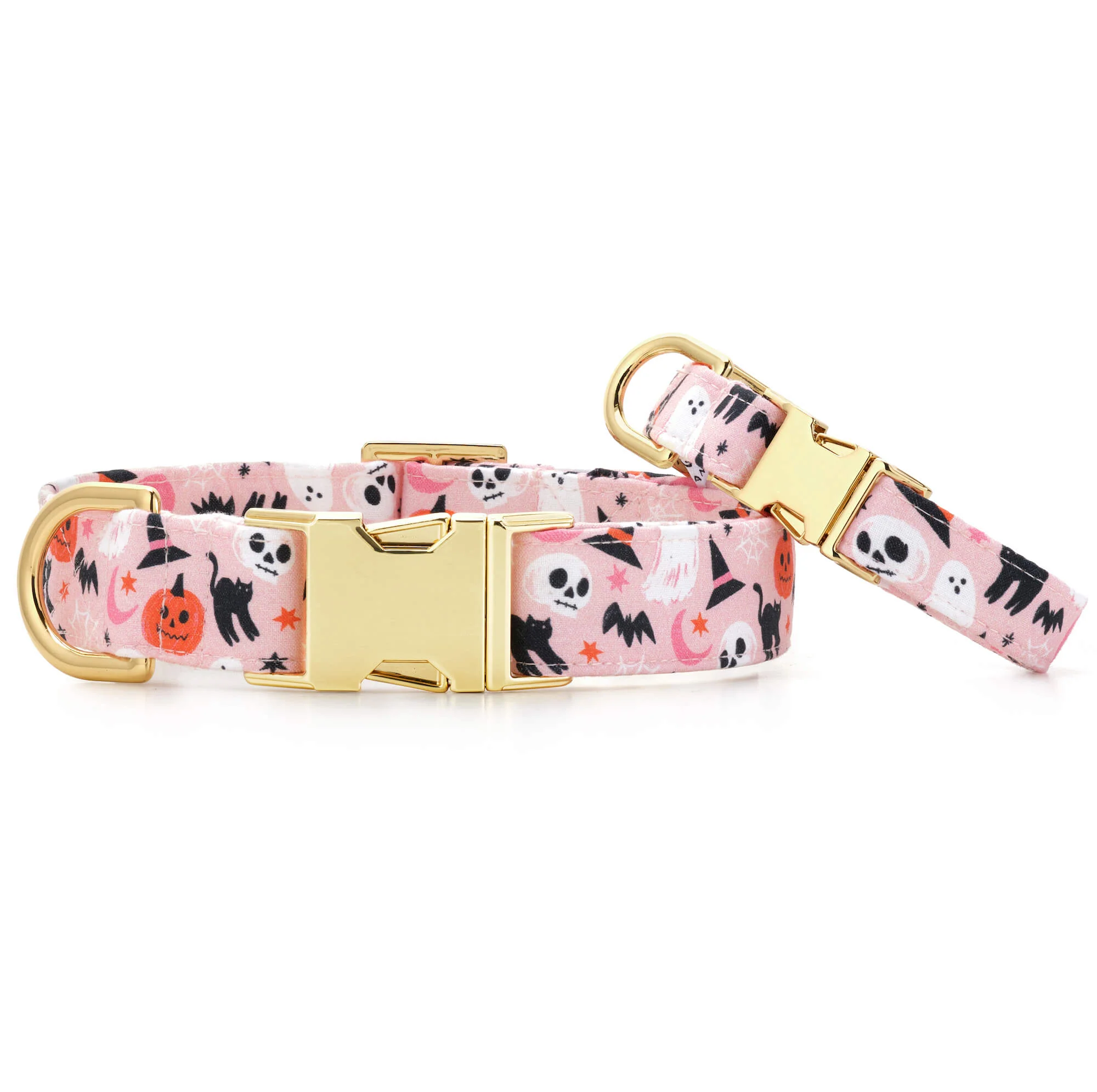 Bewitched Dog Collar