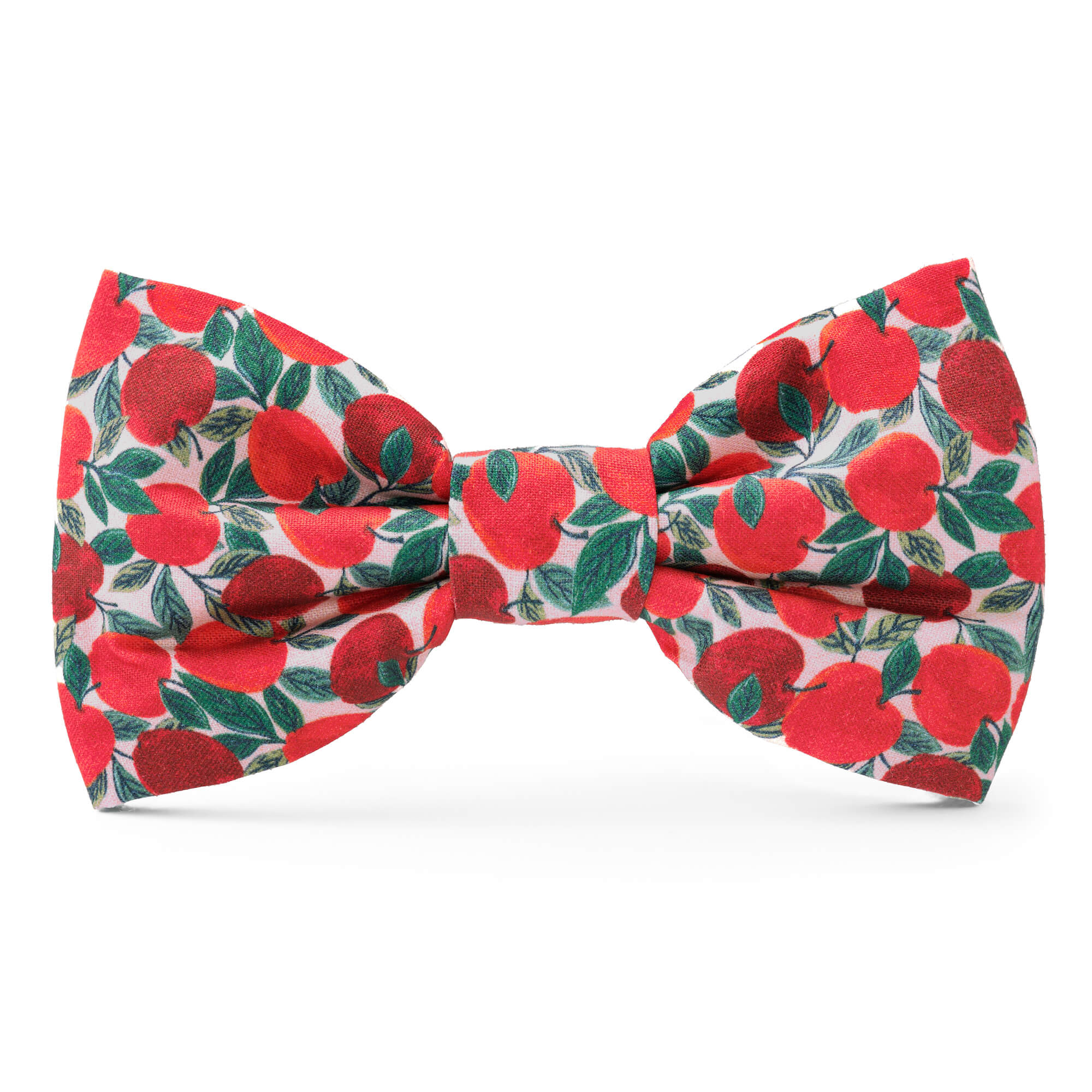 Apple of My Eye Dog Bow Tie