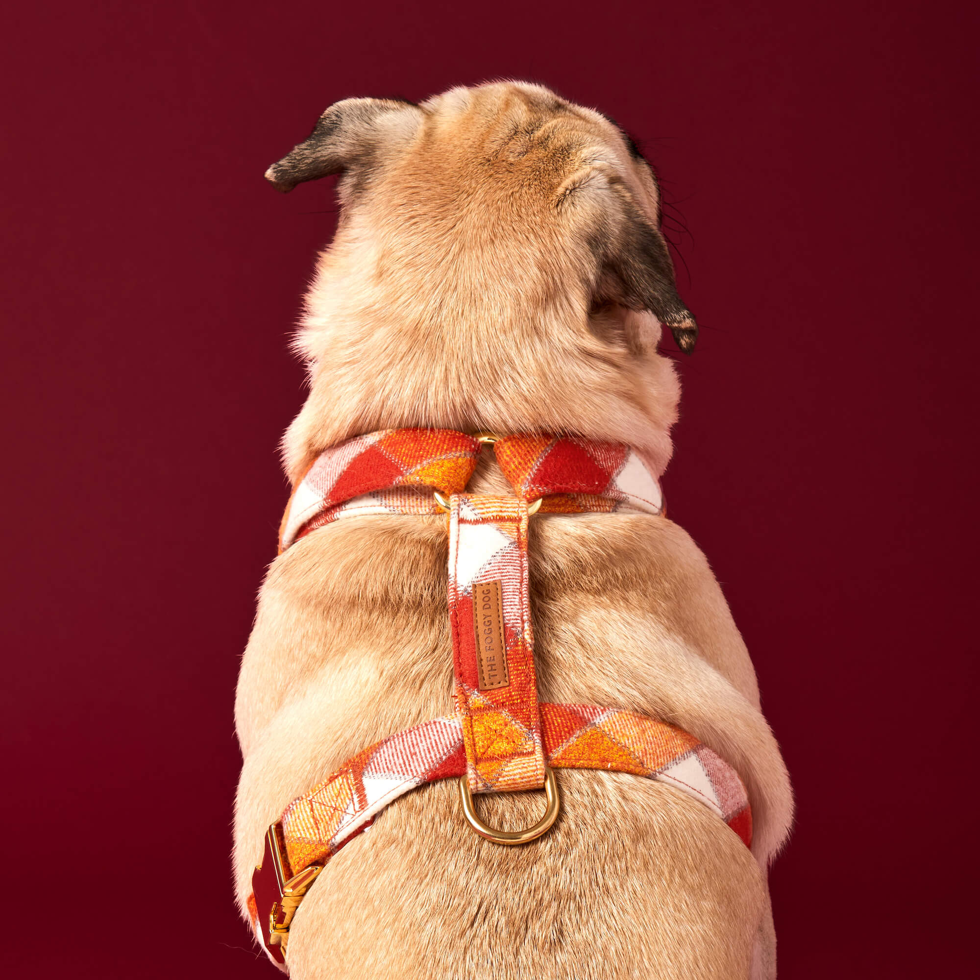 Pumpkin Spice Plaid Flannel Dog Harness