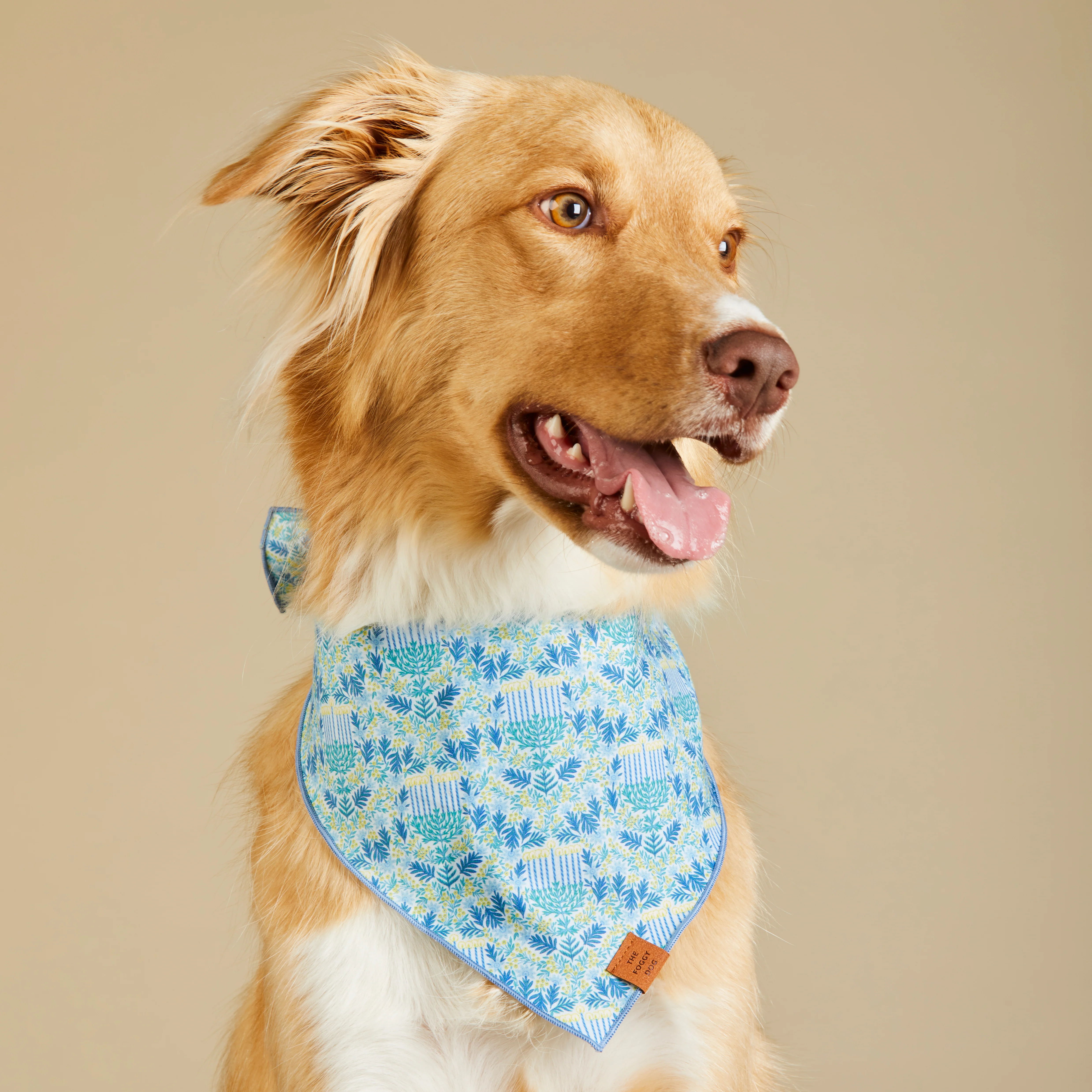 Flora Menorah Dog Bandana