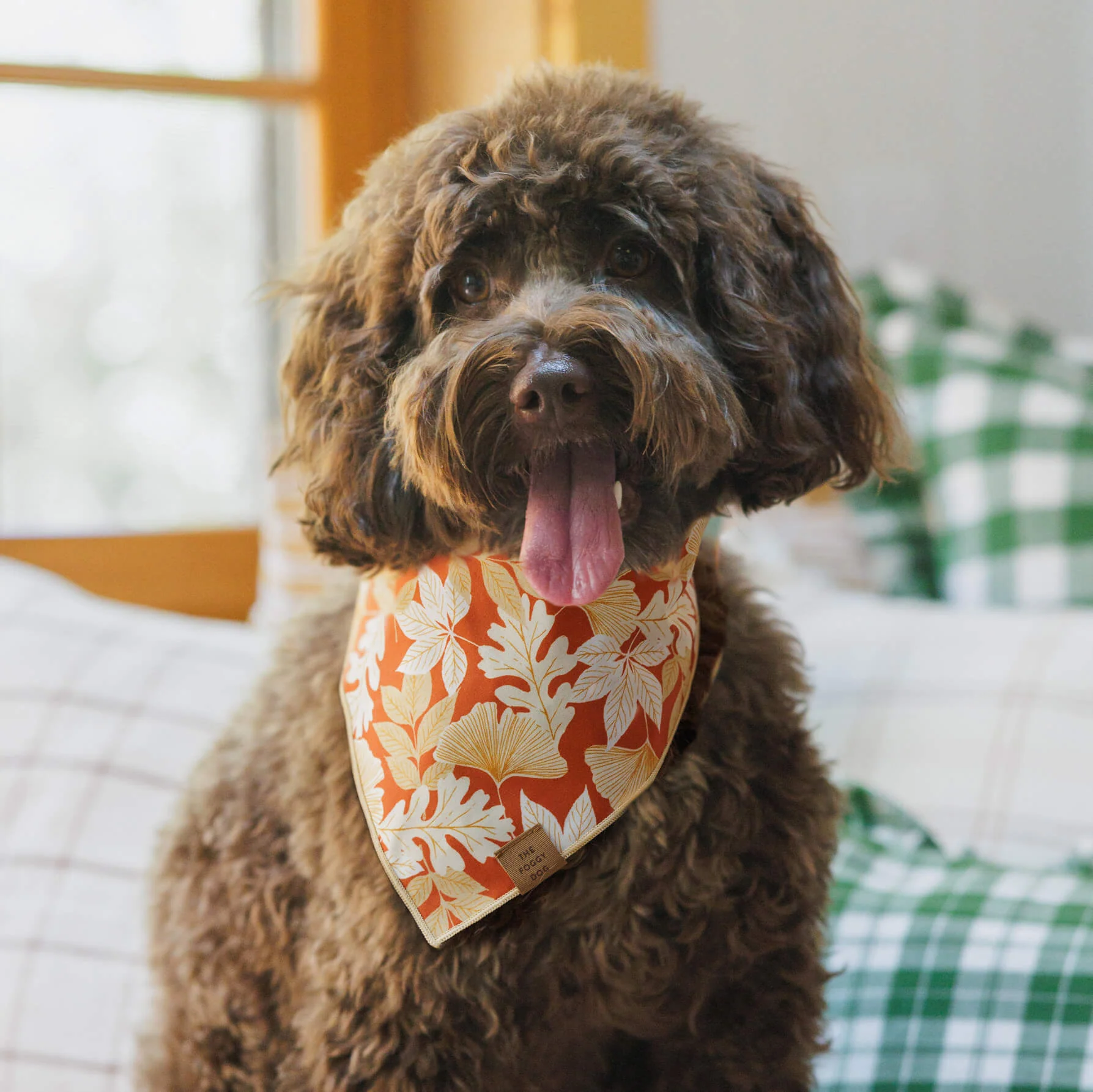 Autumn Leaves Rust Dog Bandana