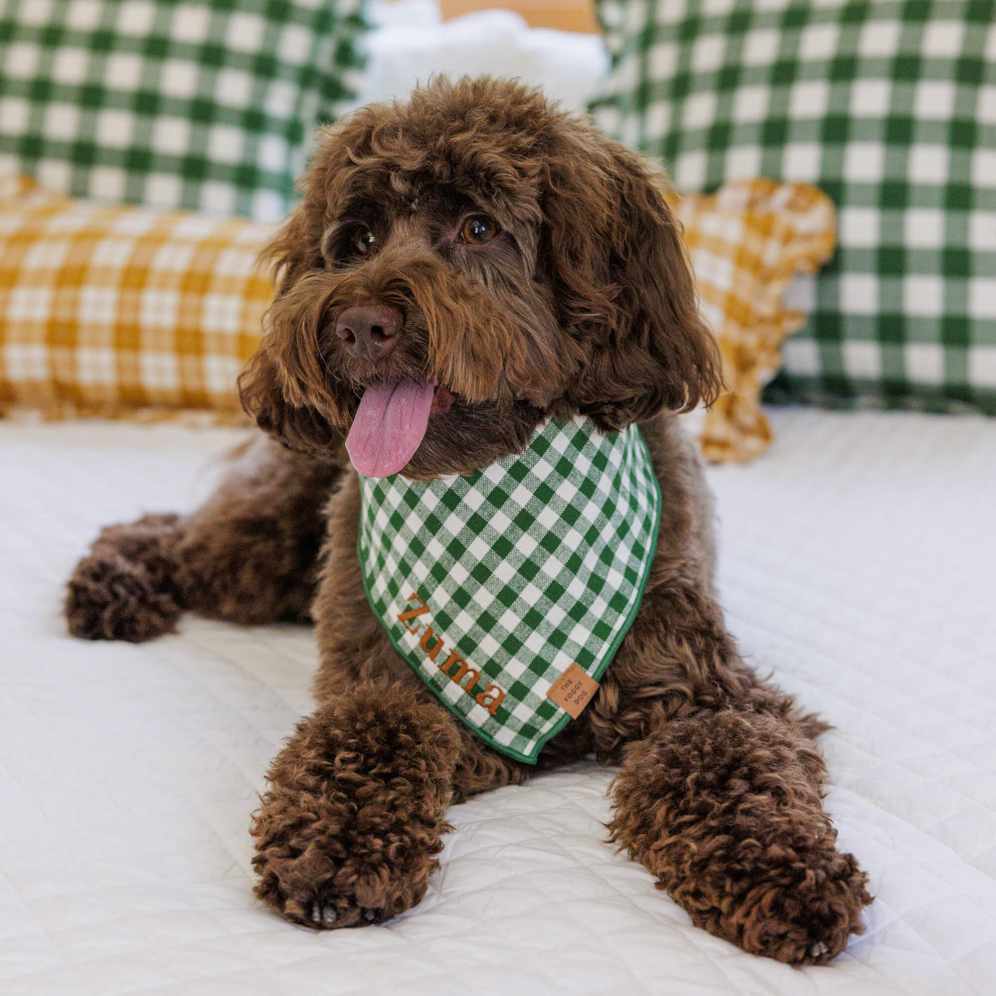 Heather Taylor Home x TFD Mini Gingham Hunter Green Dog Bandana