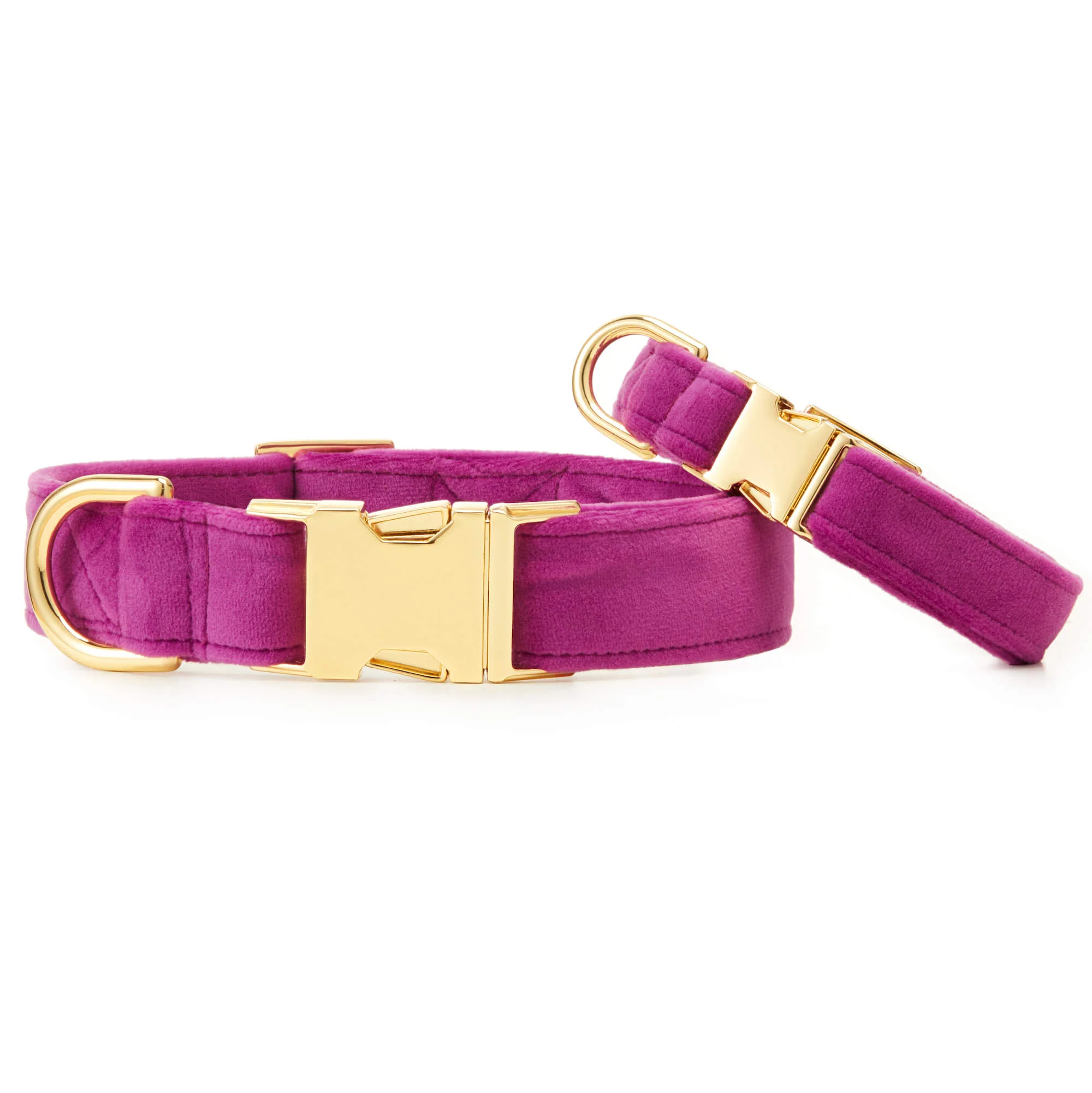 Plum Velvet Dog Collar