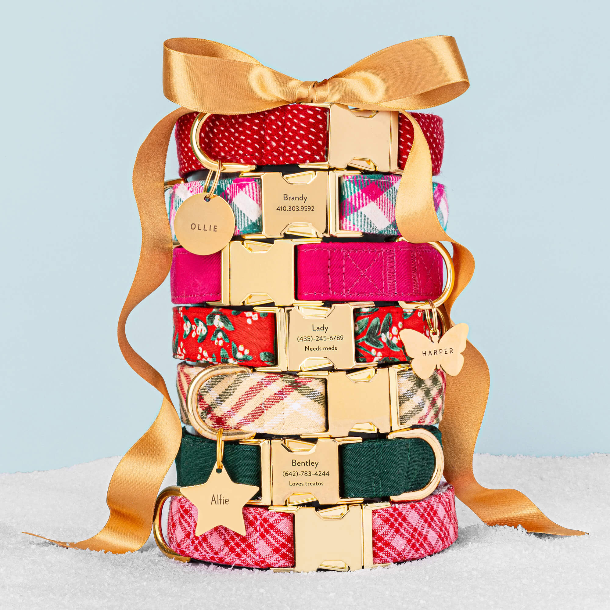 Rifle Paper Co. x TFD Mistletoe Dog Collar