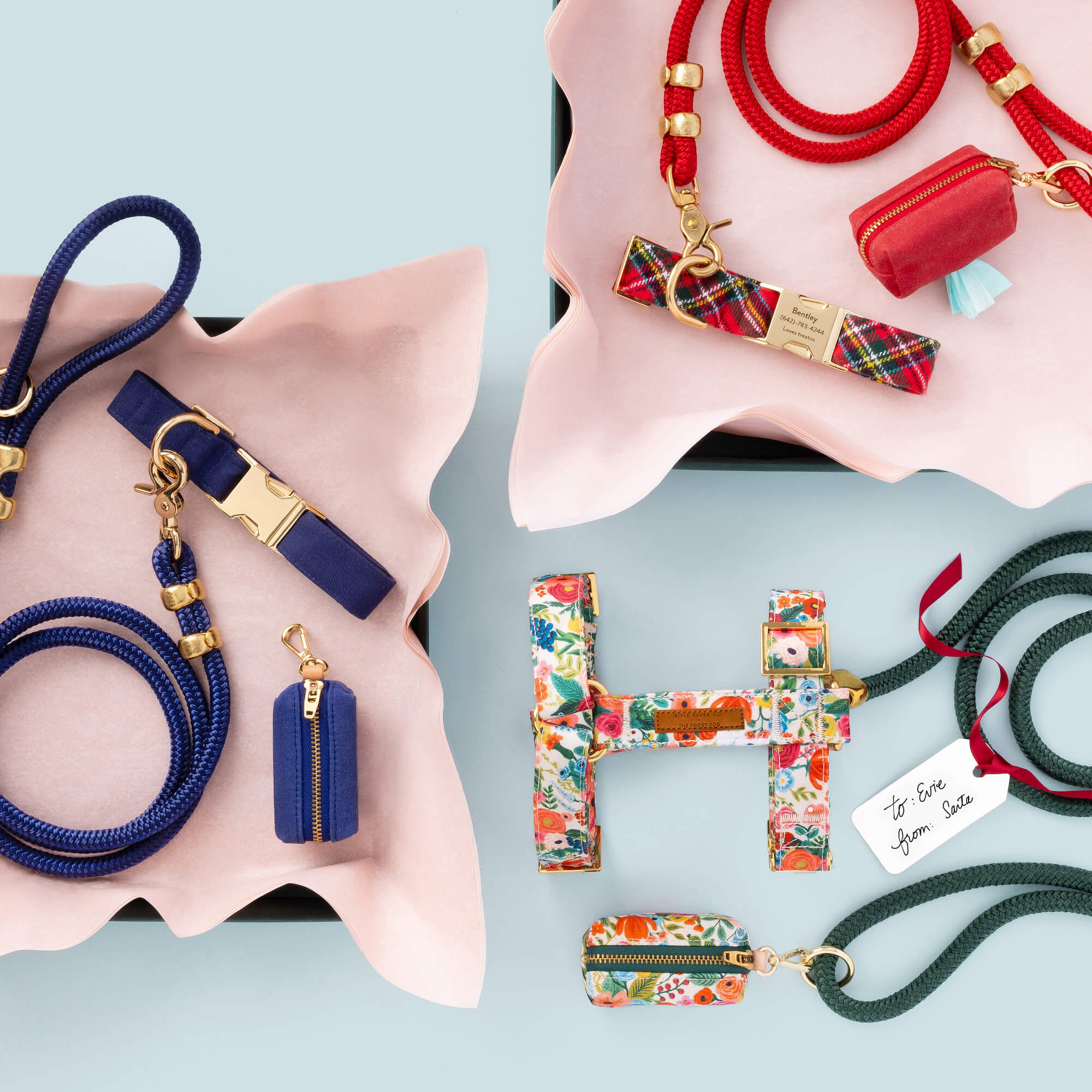 Rifle Paper Co. x TFD Garden Party Dog Harness