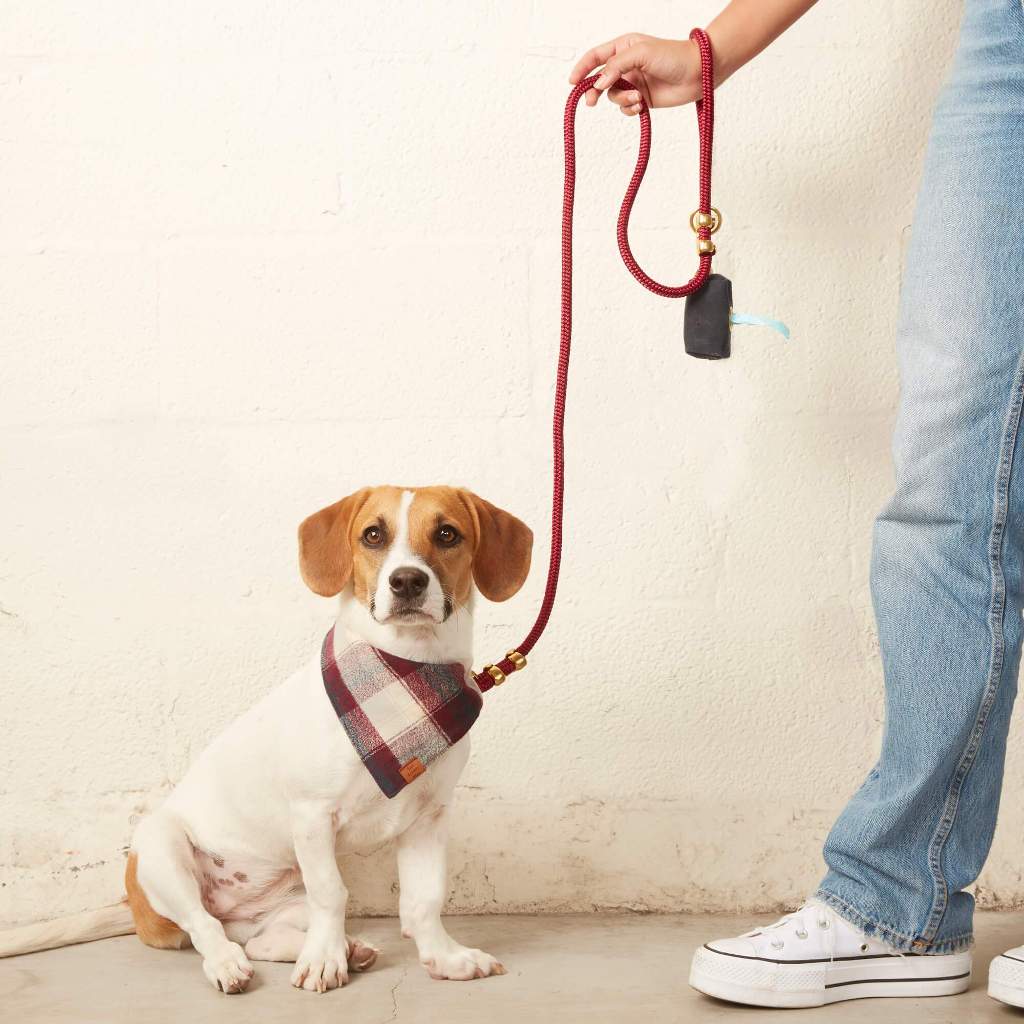 Wine Marine Rope Dog Leash