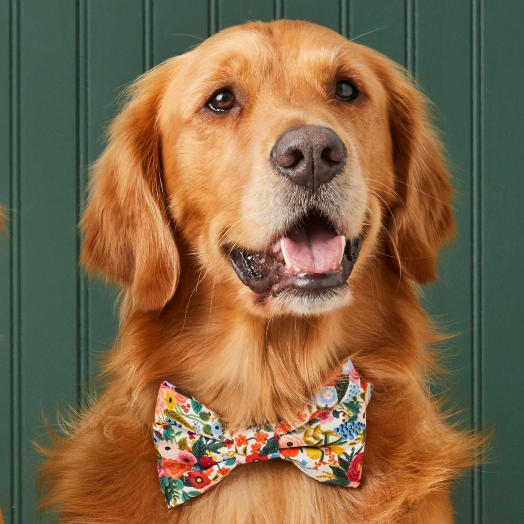 Rifle Paper Co. x TFD Garden Party Bow Tie Collar