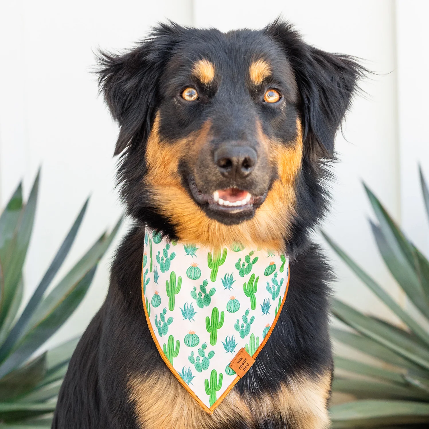 Desert Cactus Dog Bandana