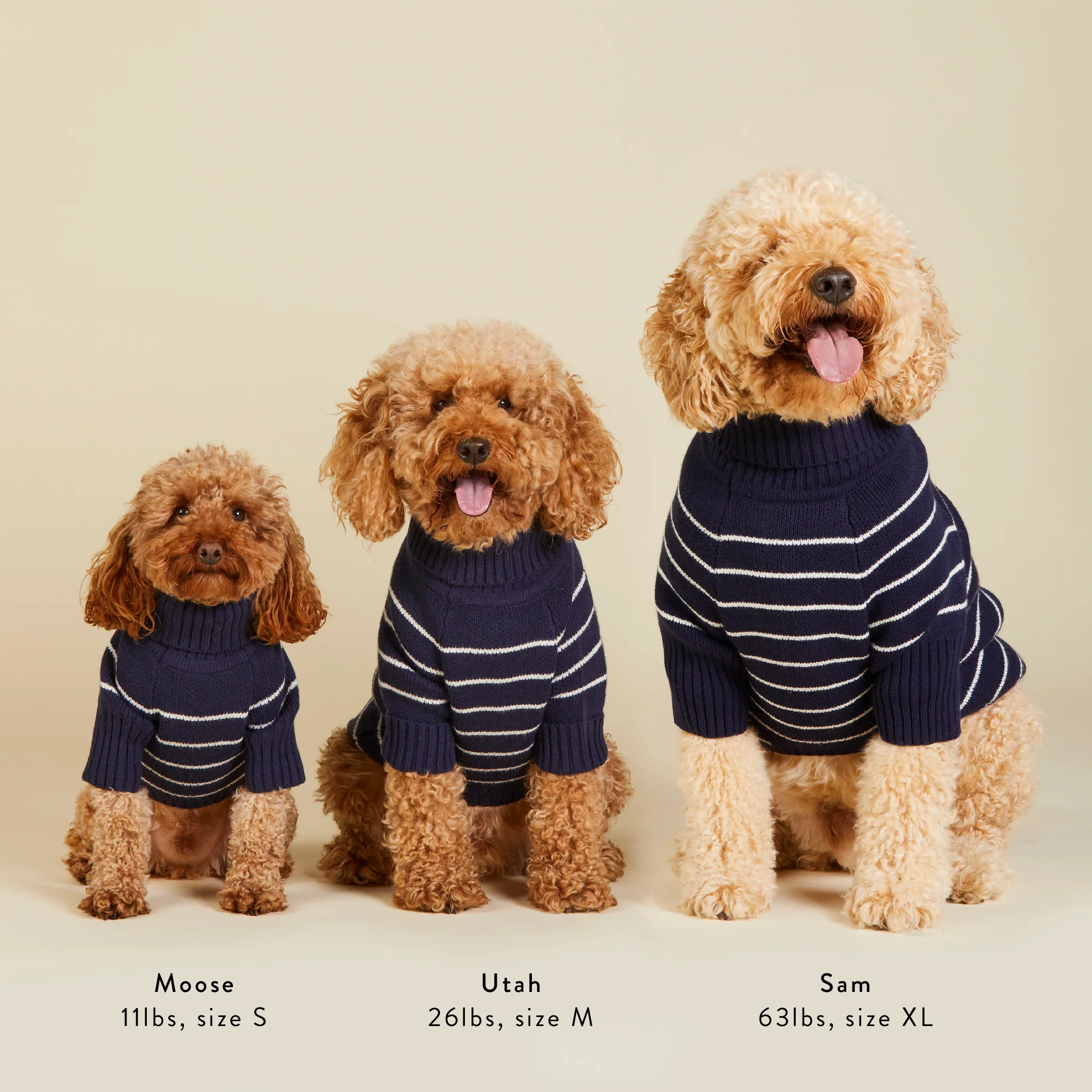Draper James x TFD Mariner Stripe Dog Sweater
