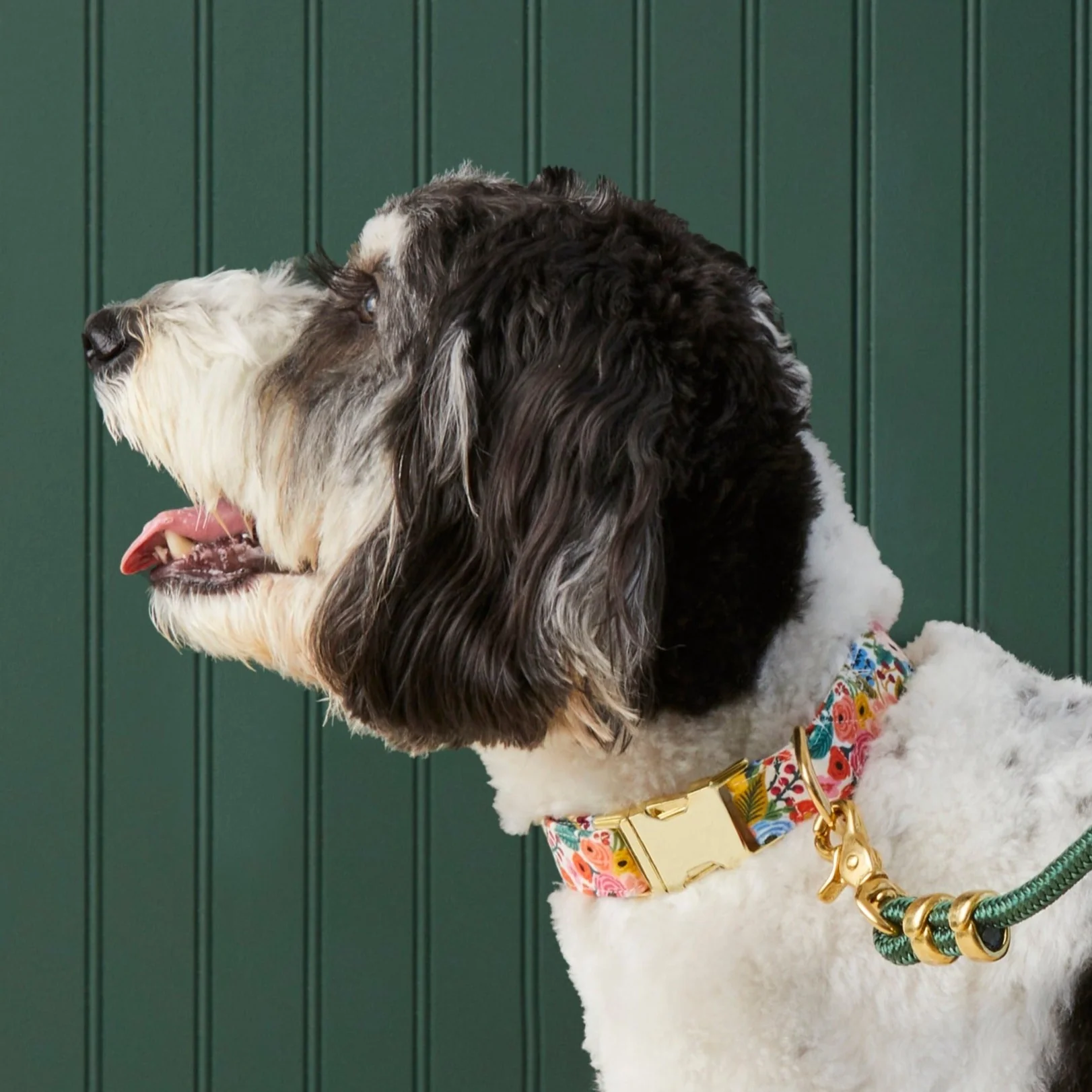 Rifle Paper Co. x TFD Garden Party Dog Collar