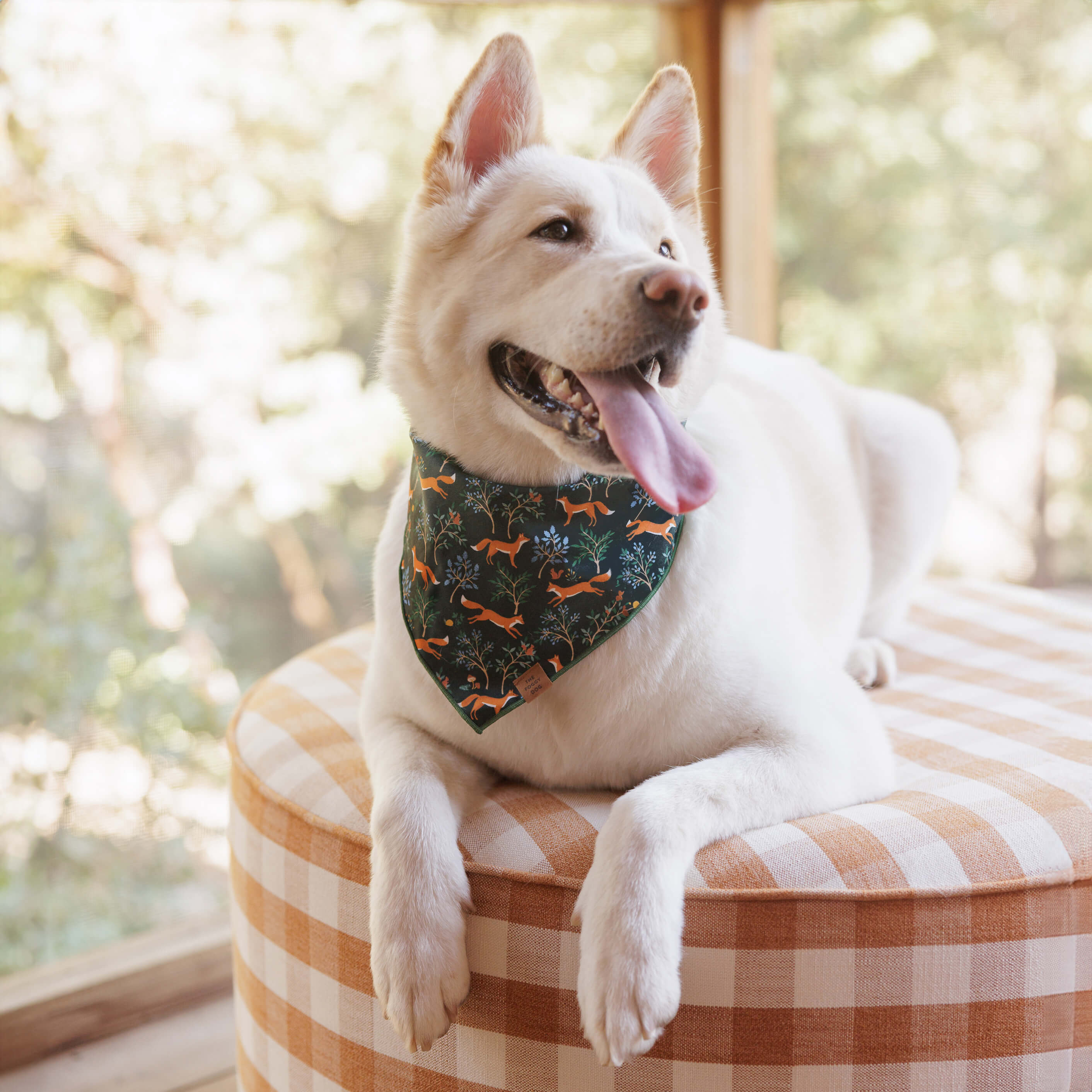 Woodland Fox Dog Bandana