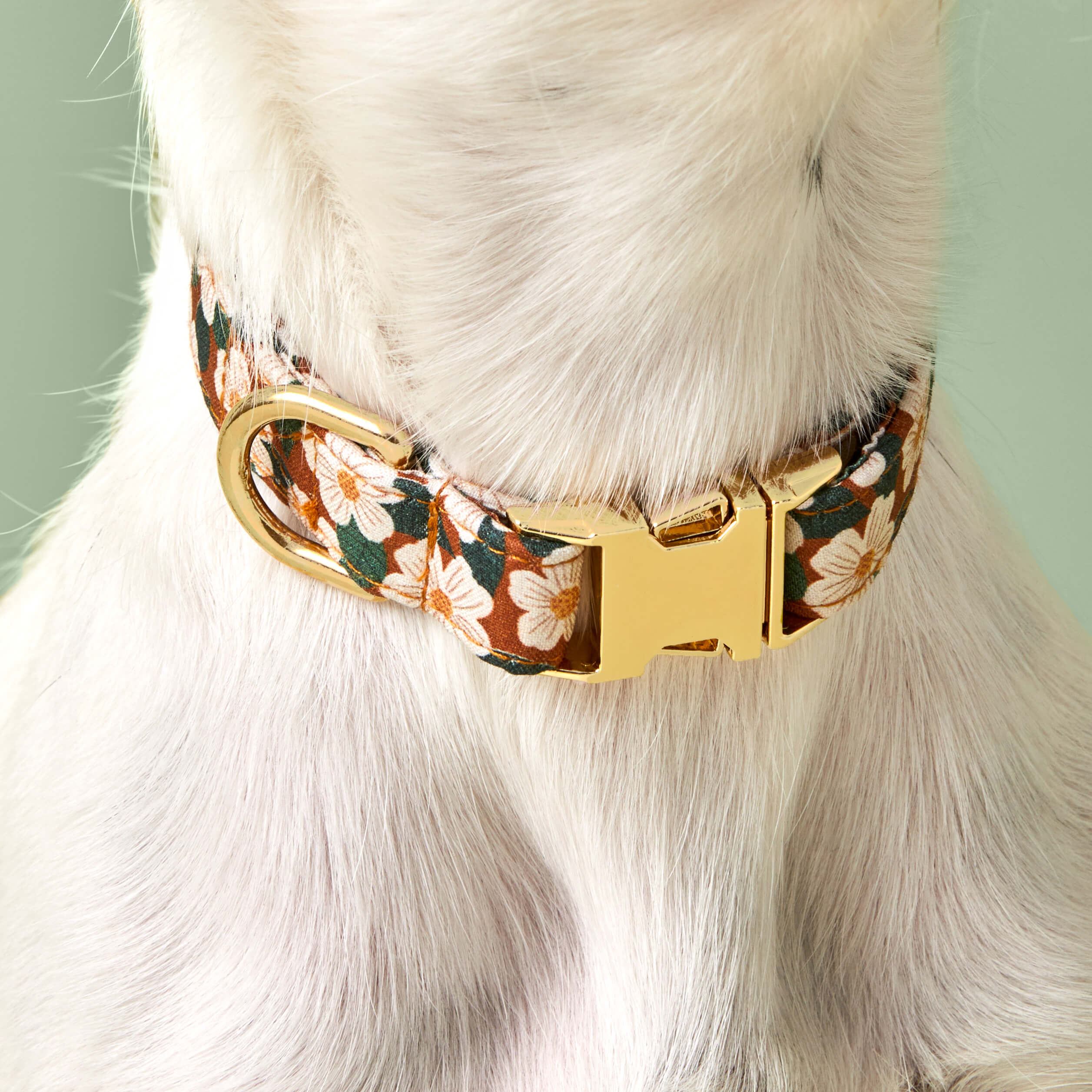 Chestnut Rose Dog Collar