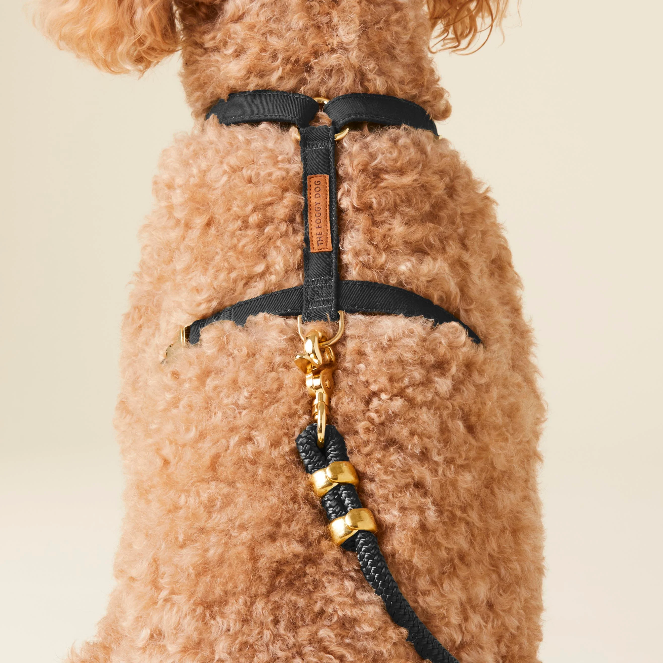 Onyx Dog Harness