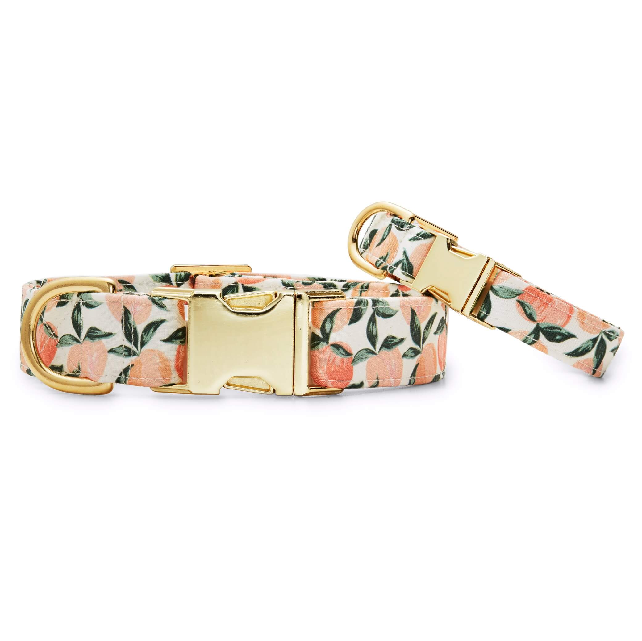 Peaches and Cream Dog Collar