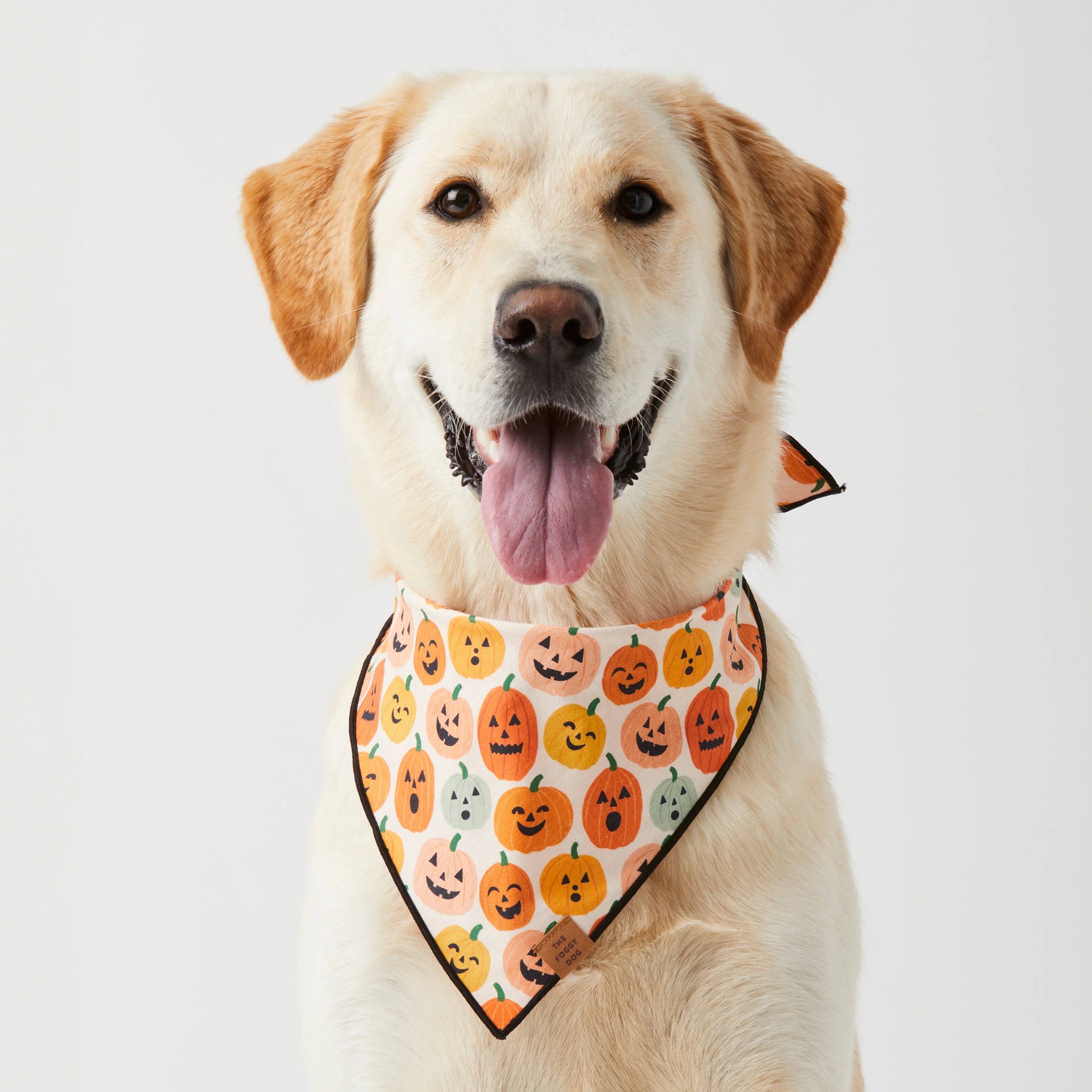 Jack-o’-Lanterns Reversible Dog Bandana