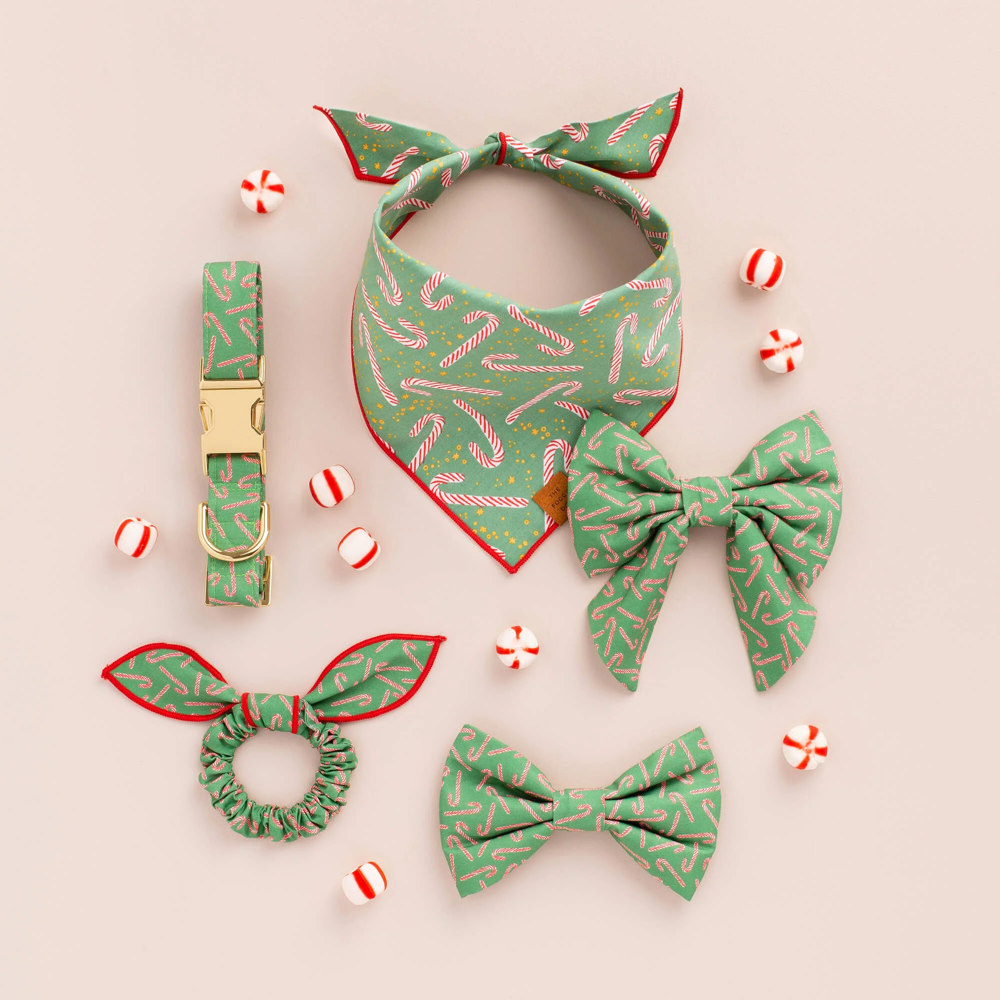 Hooked On You Dog Collar