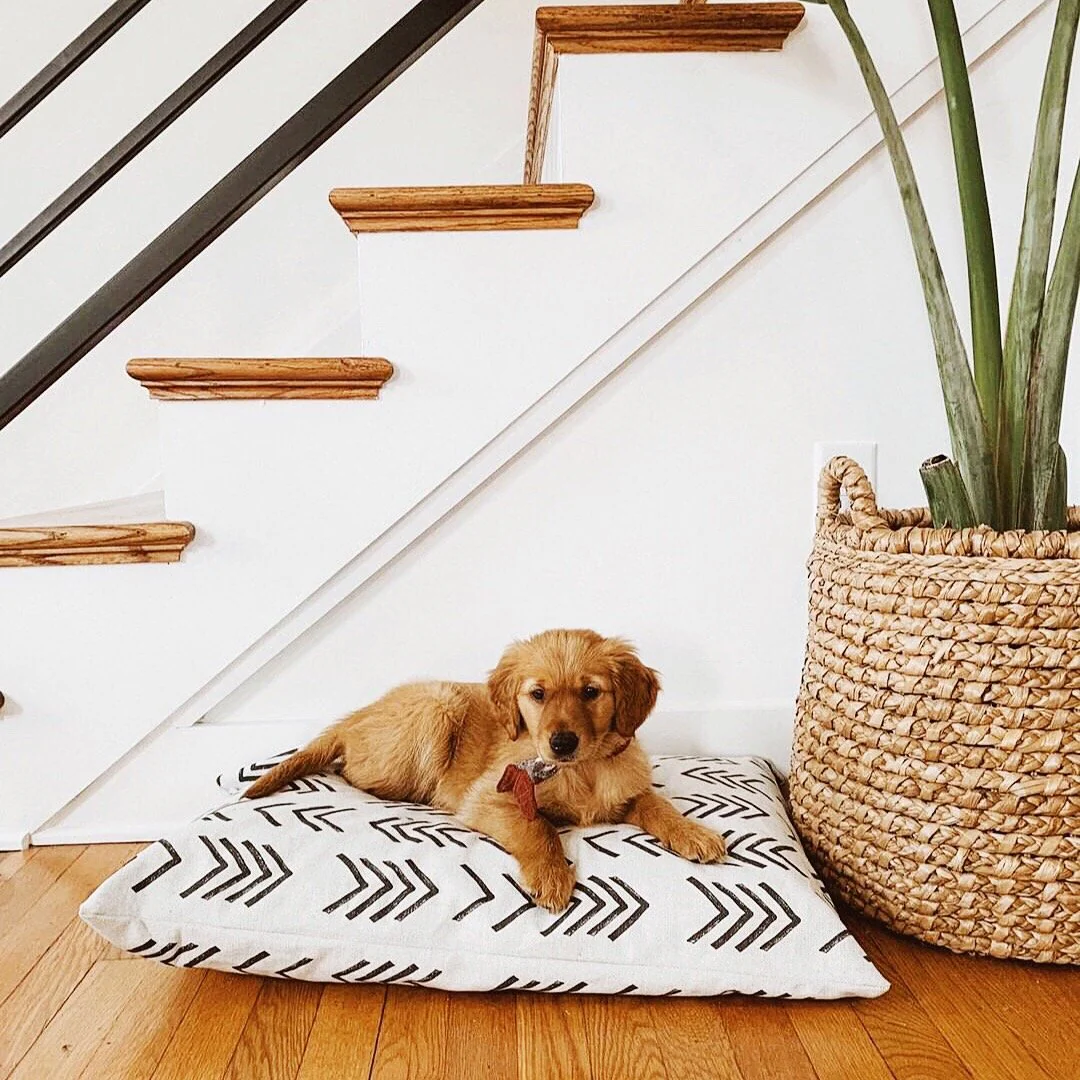 Modern Mud Cloth Natural Dog Bed
