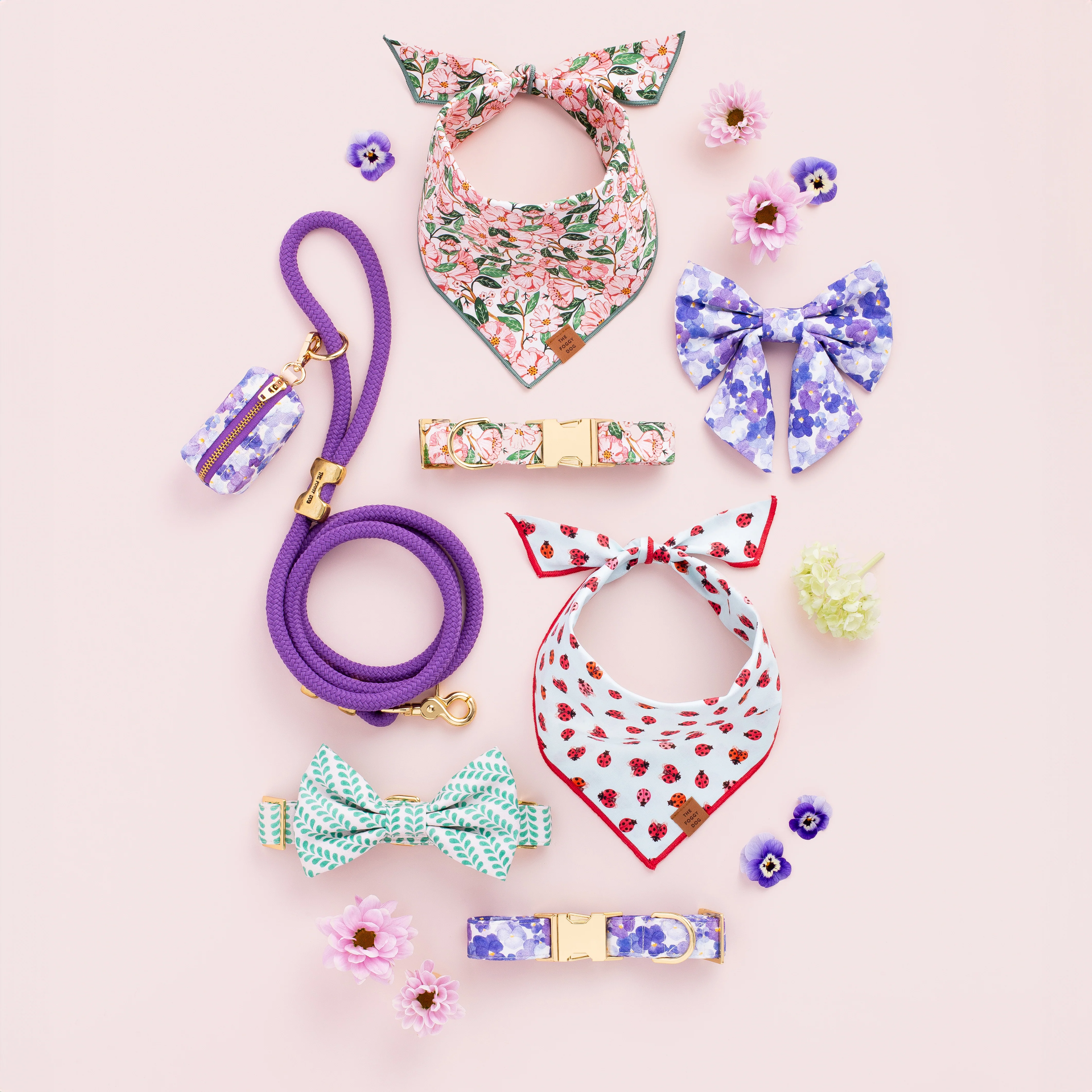 Pressed Pansies Dog Collar