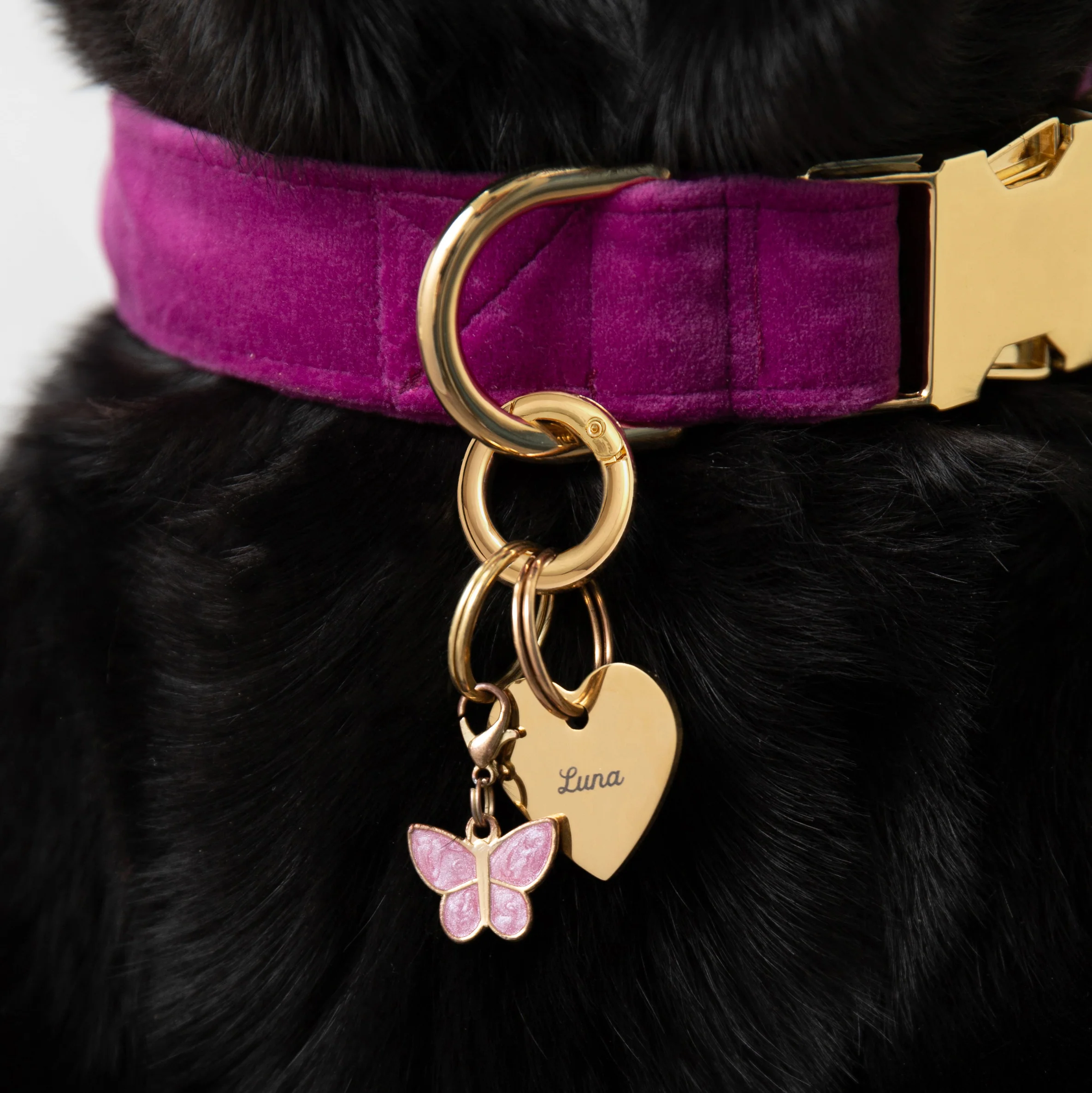 Butterfly Collar Charm