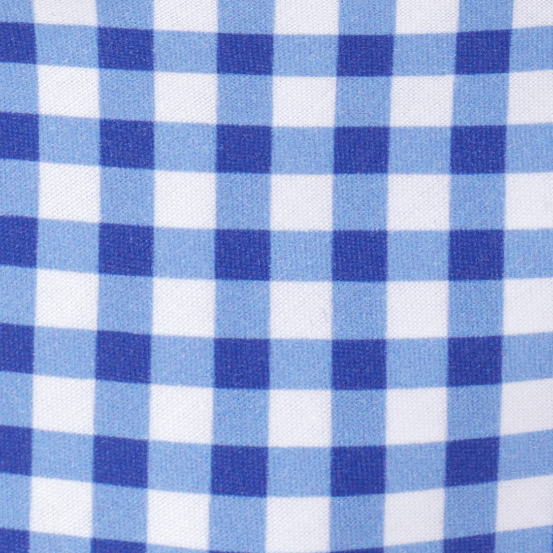 Blue Gingham Collar Walk Set