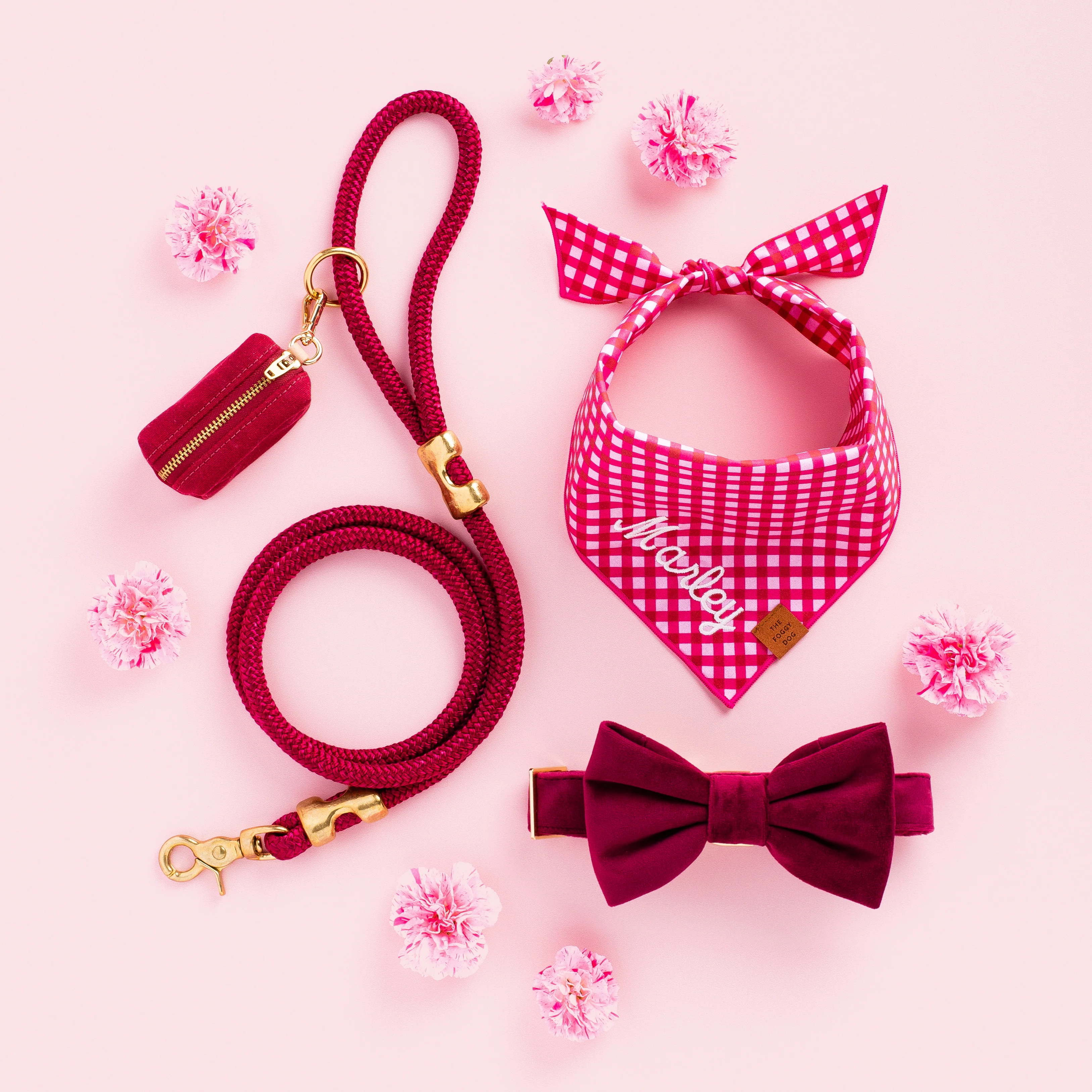 Wine Marine Rope Dog Leash