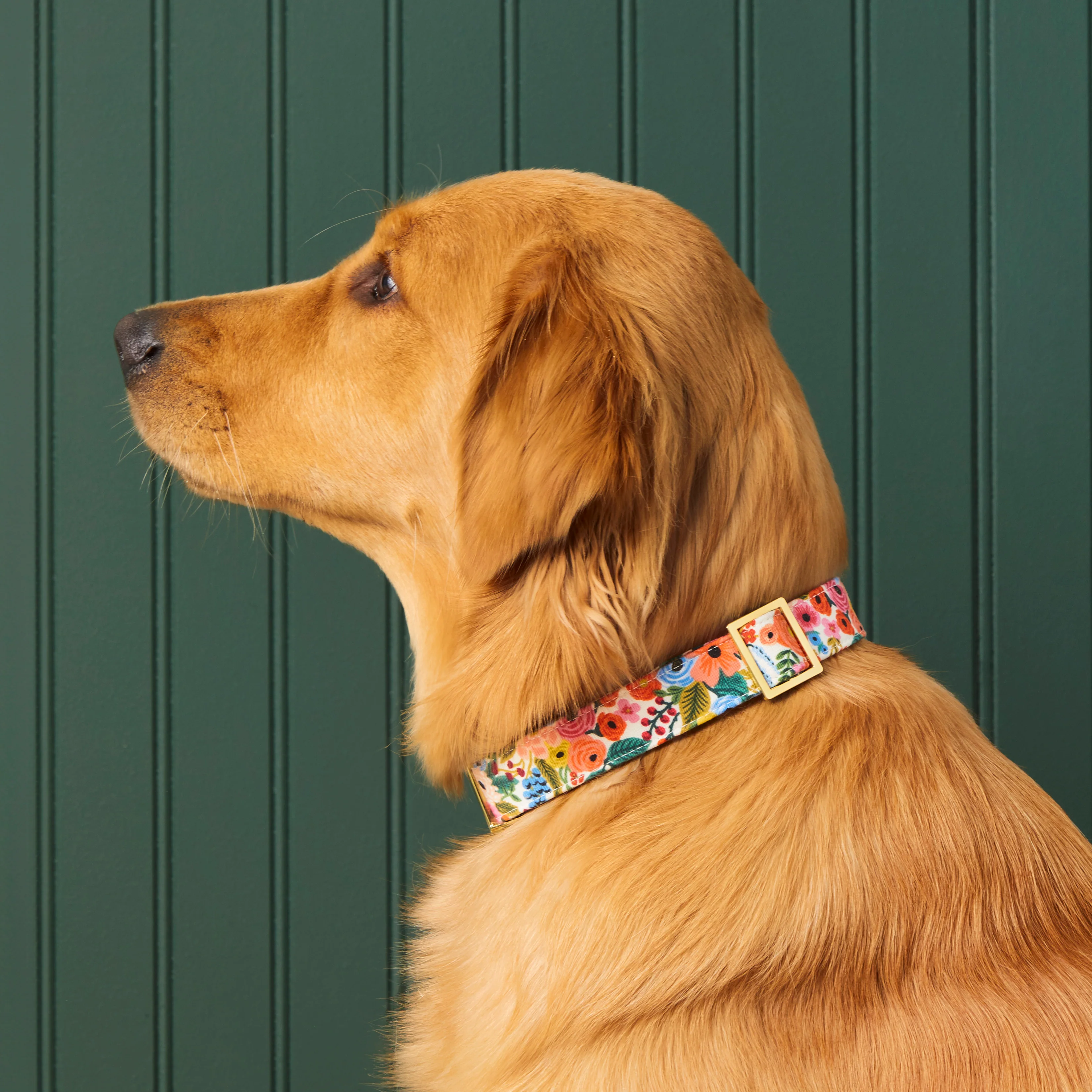 Rifle Paper Co. x TFD Garden Party Dog Collar