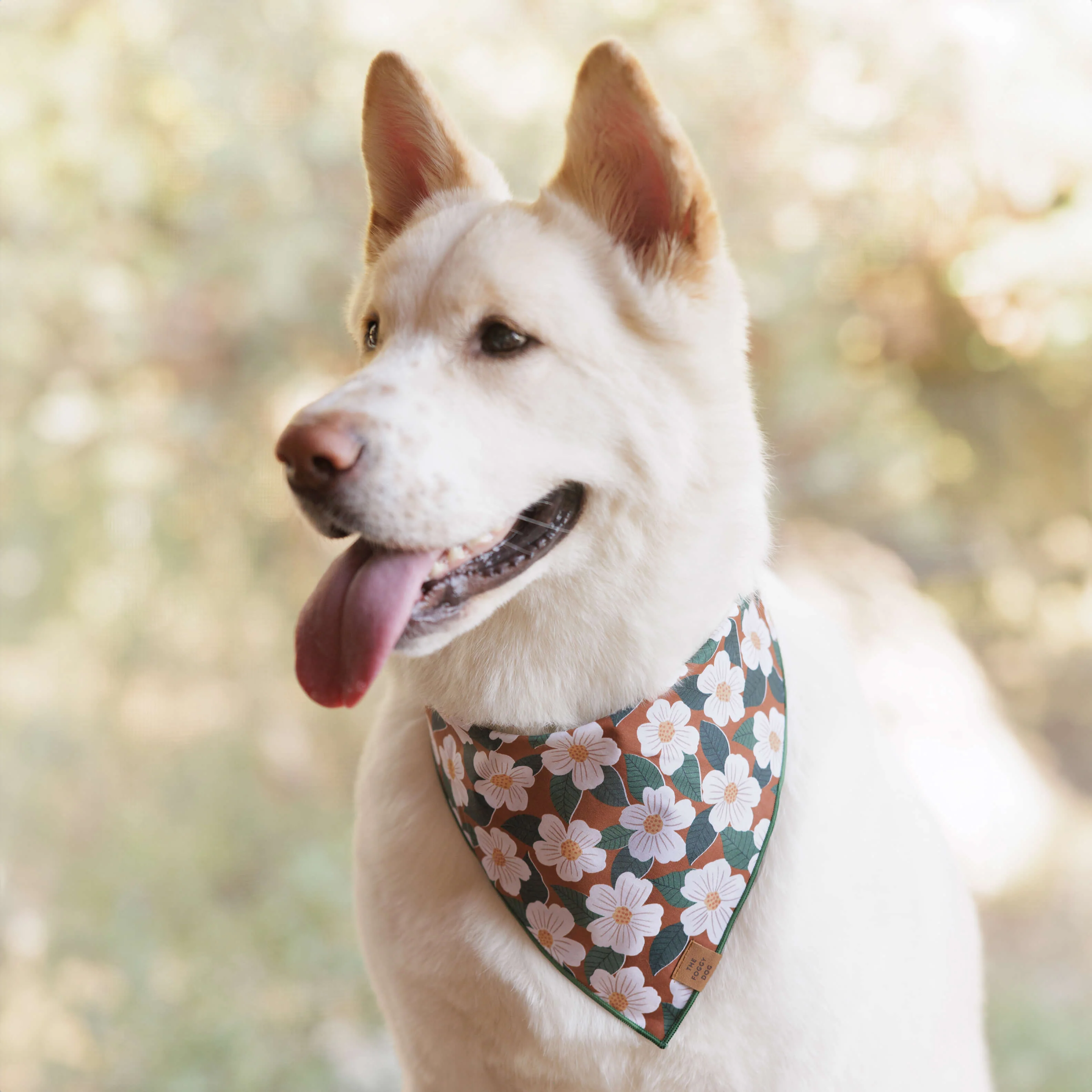 Chestnut Rose Dog Bandana