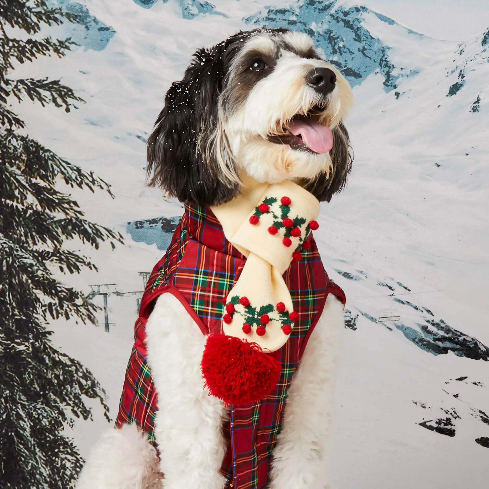 Holly Bobble Knit Dog Scarf