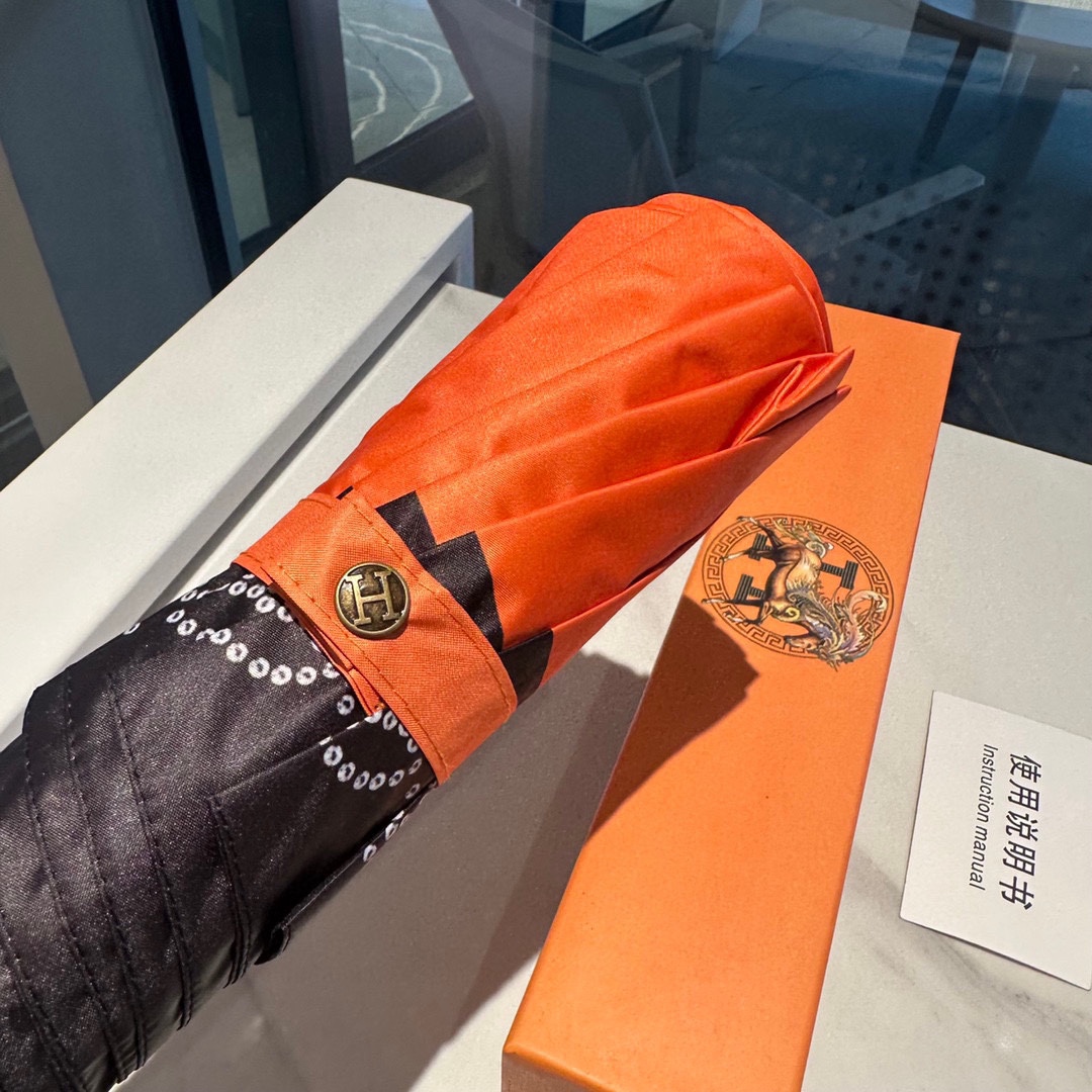 Hermes Umbrella
