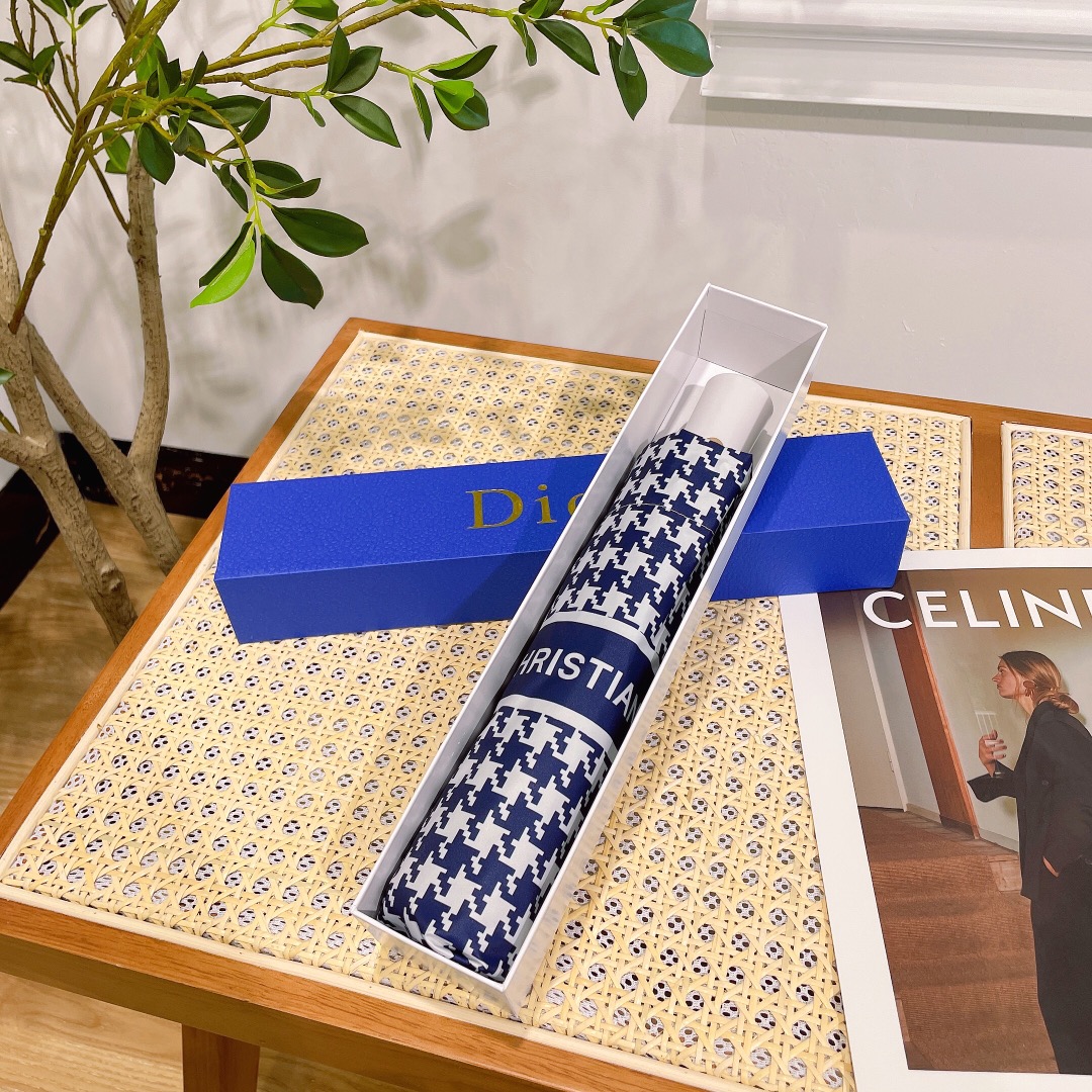 Dior Umbrella