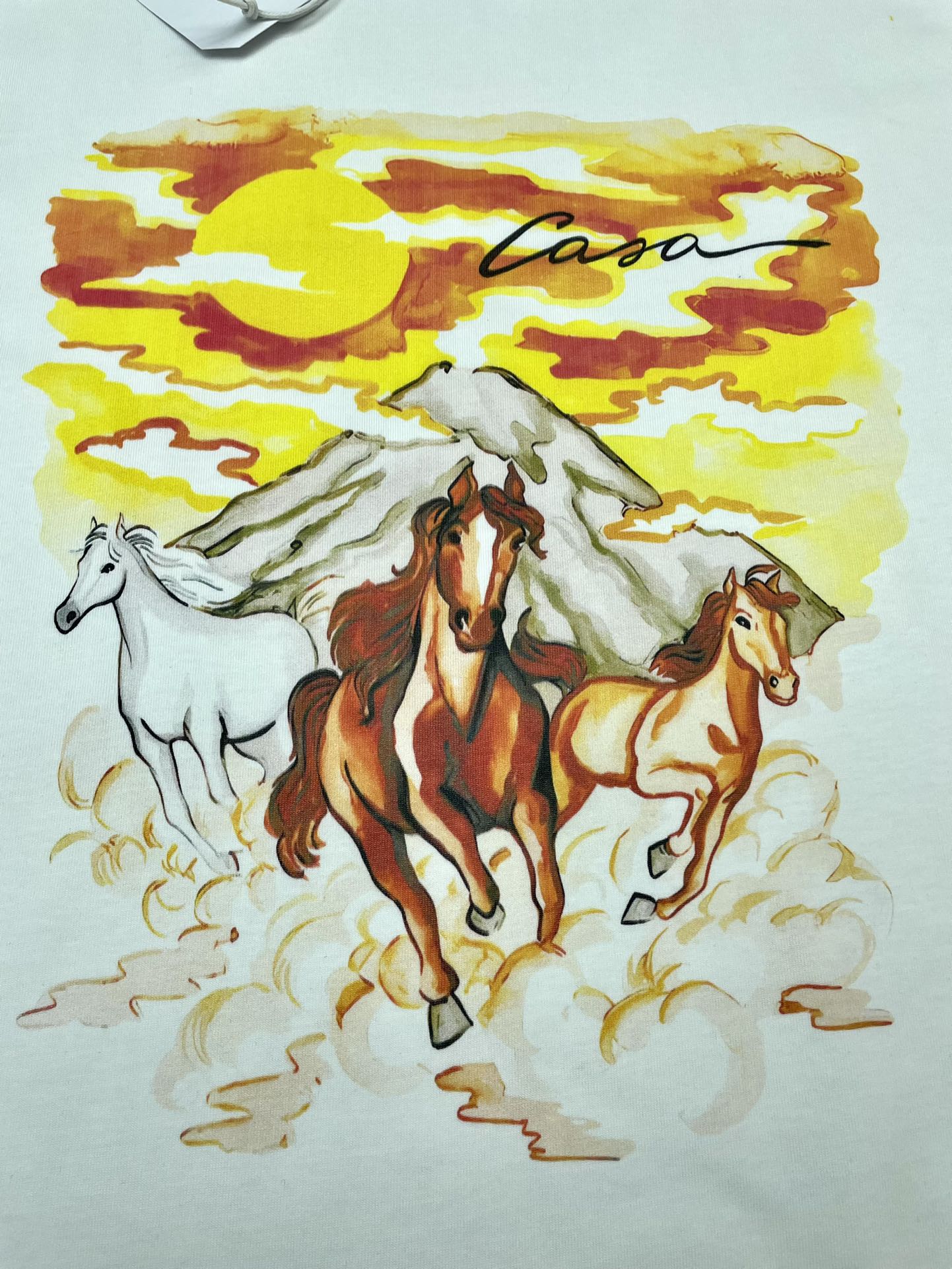 Casablanca T Shirt Size S-XL