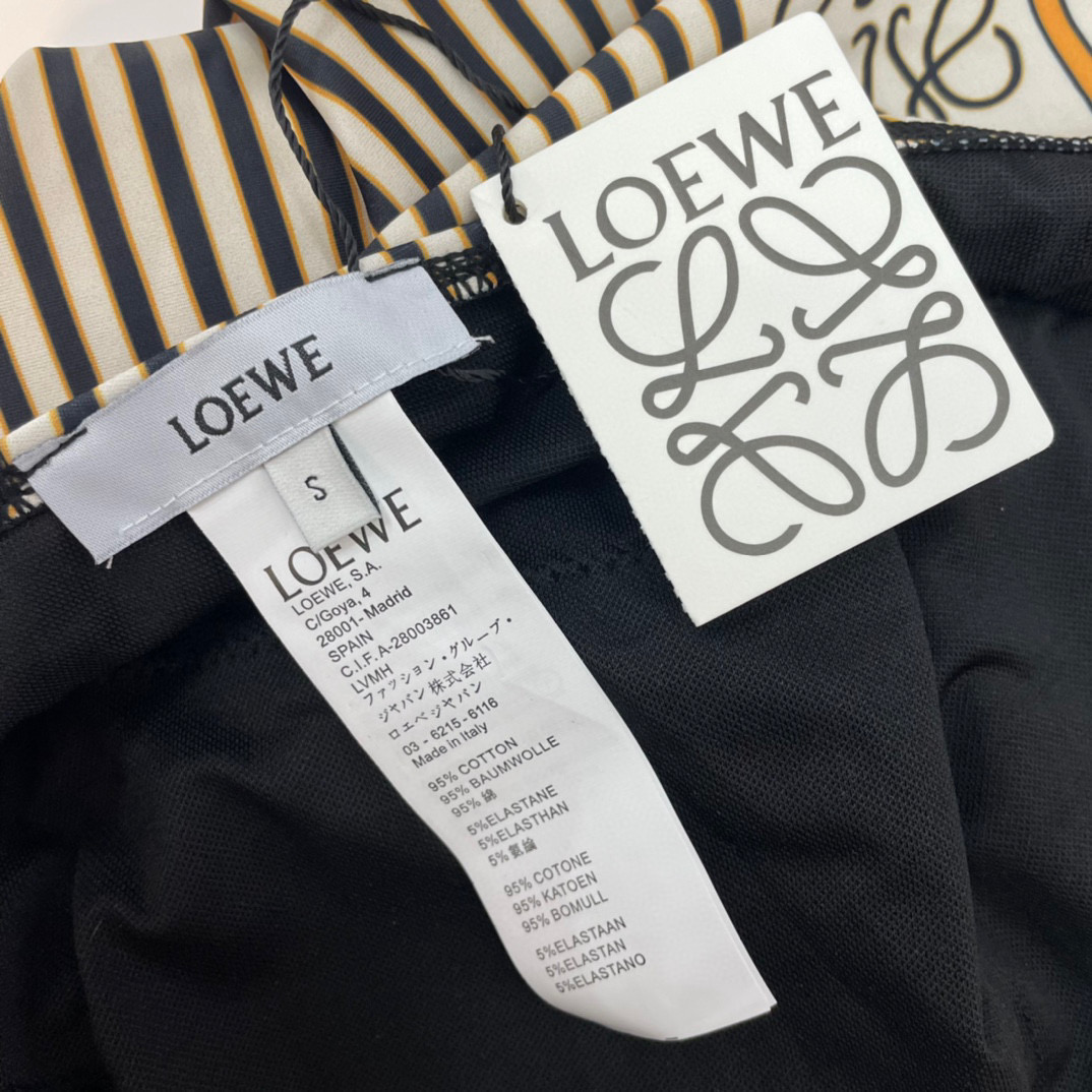 Loewe Swimsuit Size S-XL