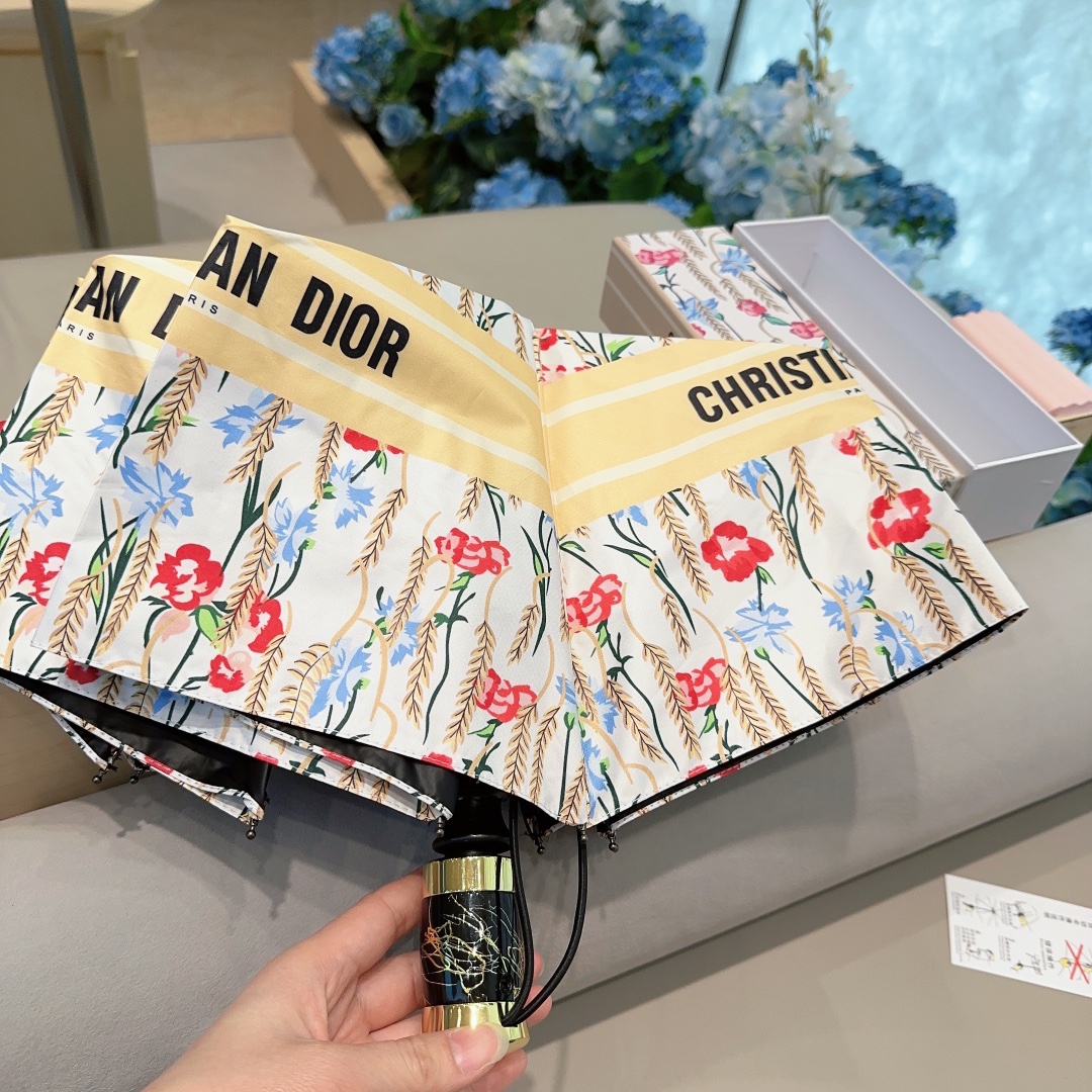 Dior Umbrella