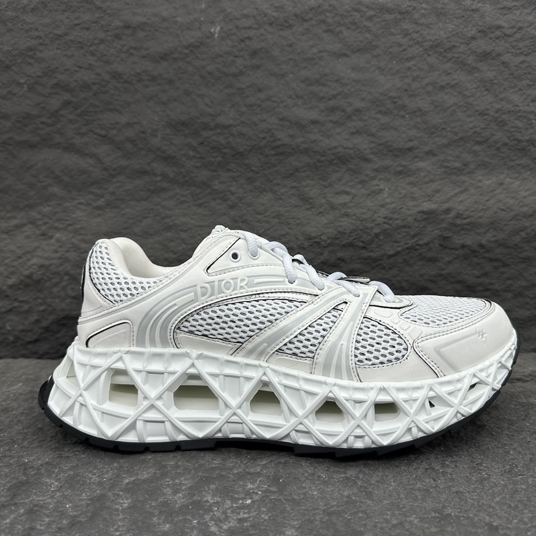 Dior B35 Men Sneaker Size 40-46